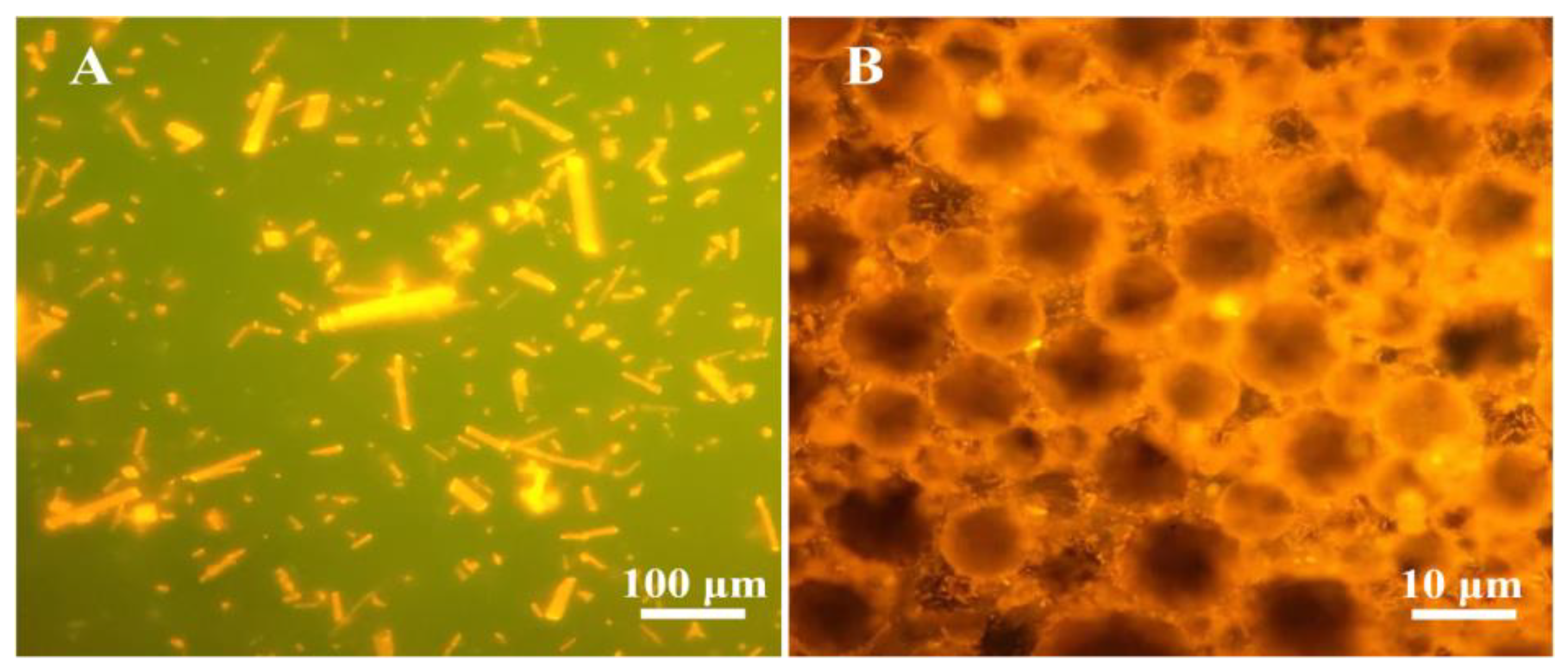 Pharmaceutics 14 00897 g004