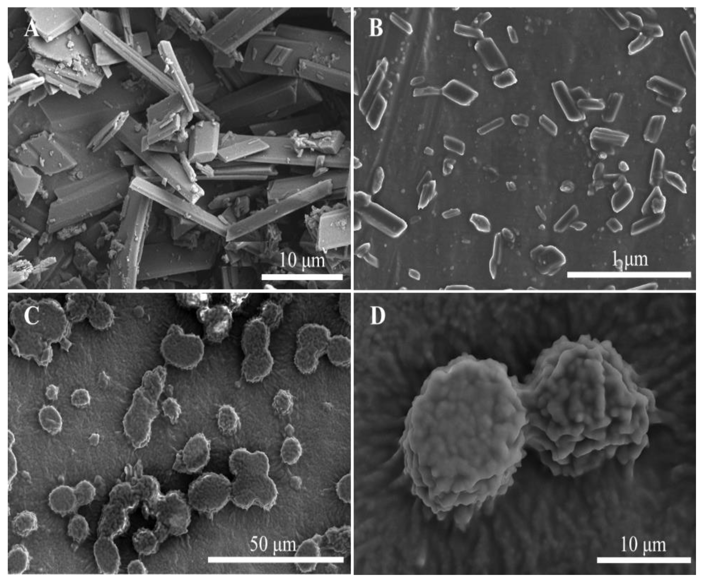 Pharmaceutics 14 00897 g005