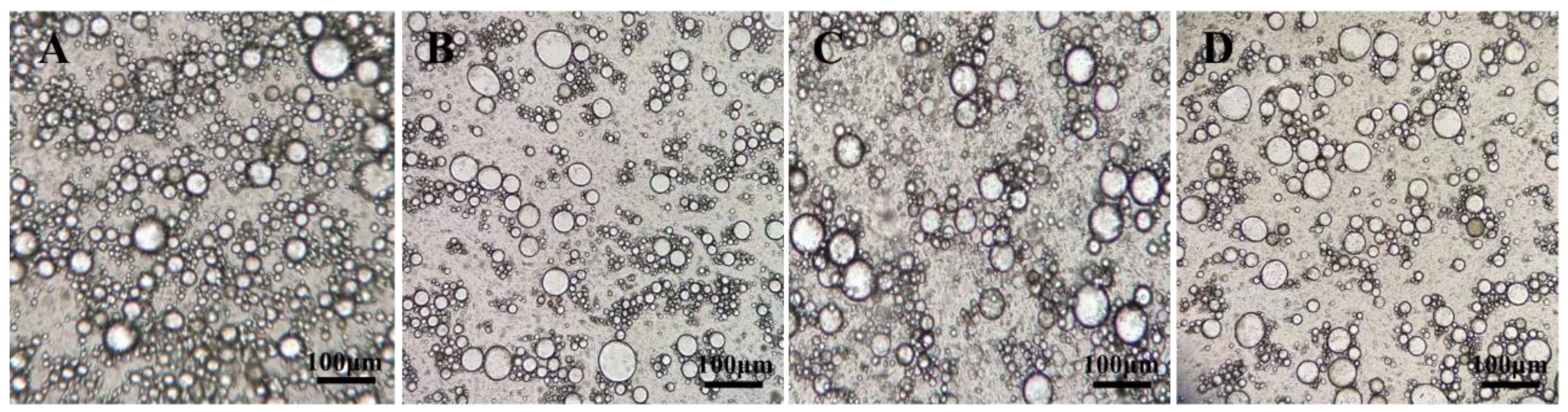 Pharmaceutics 14 00897 g008