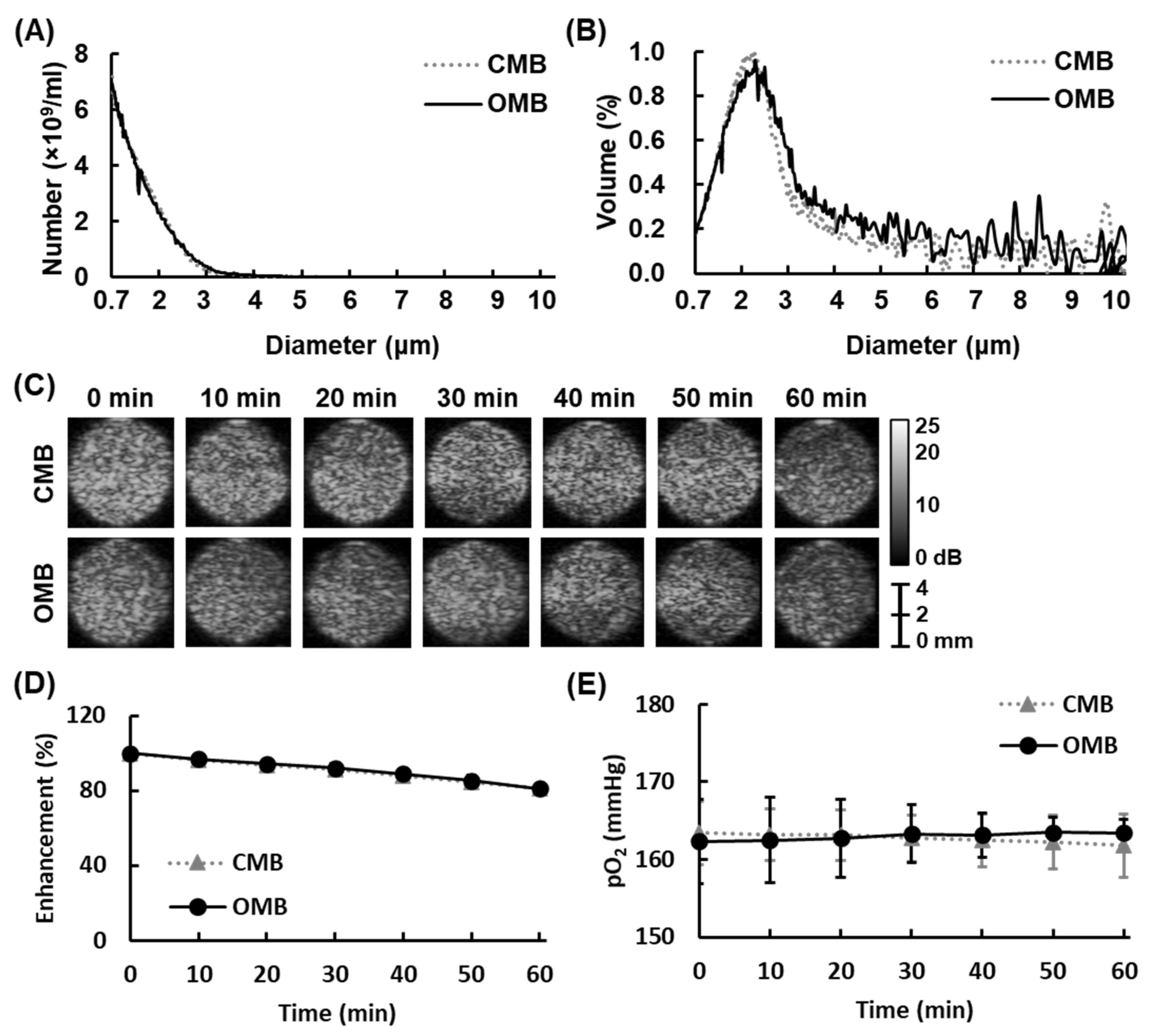 Pharmaceutics 14 00902 g003