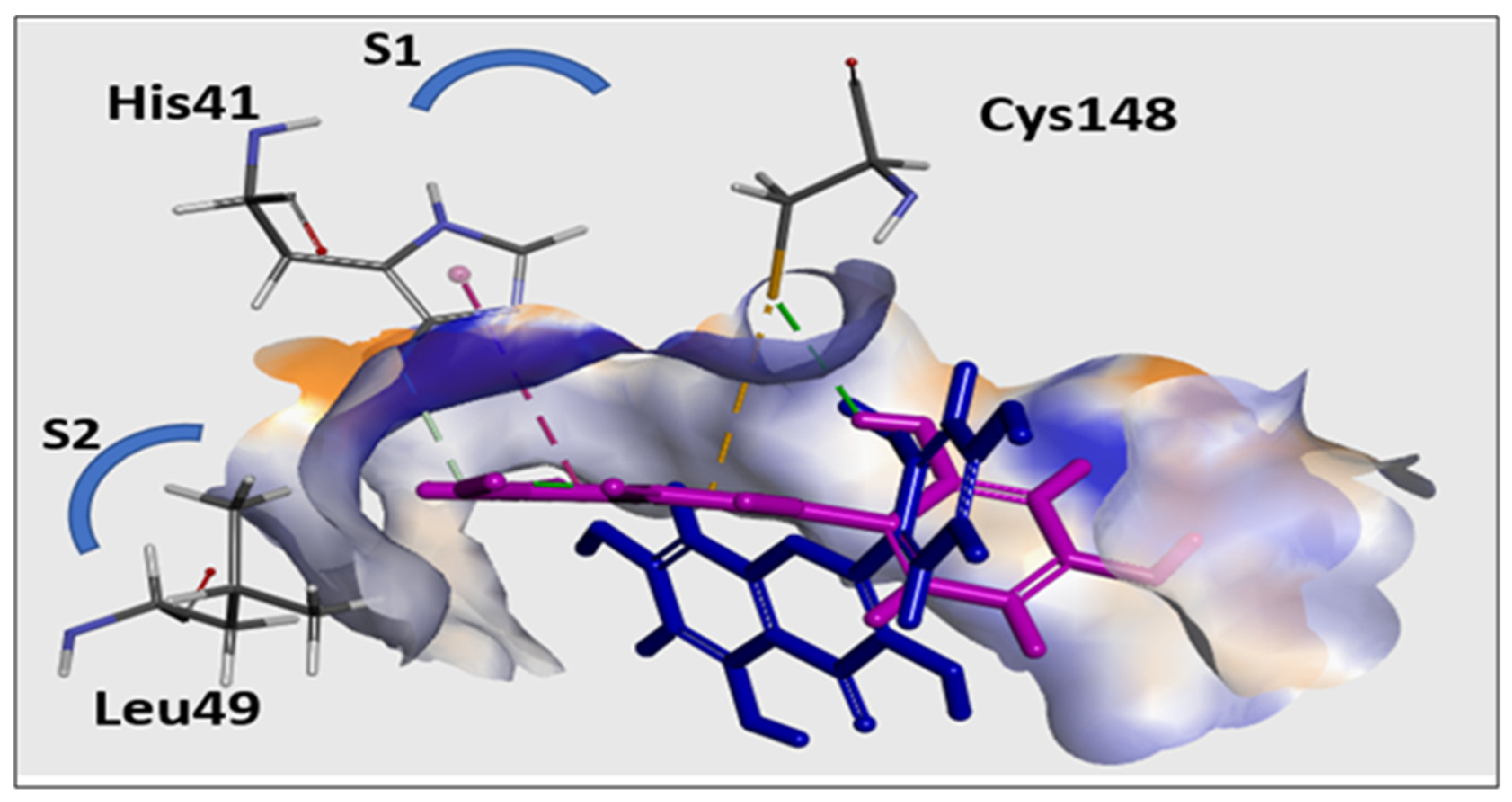 Pharmaceutics 14 00905 g008 550