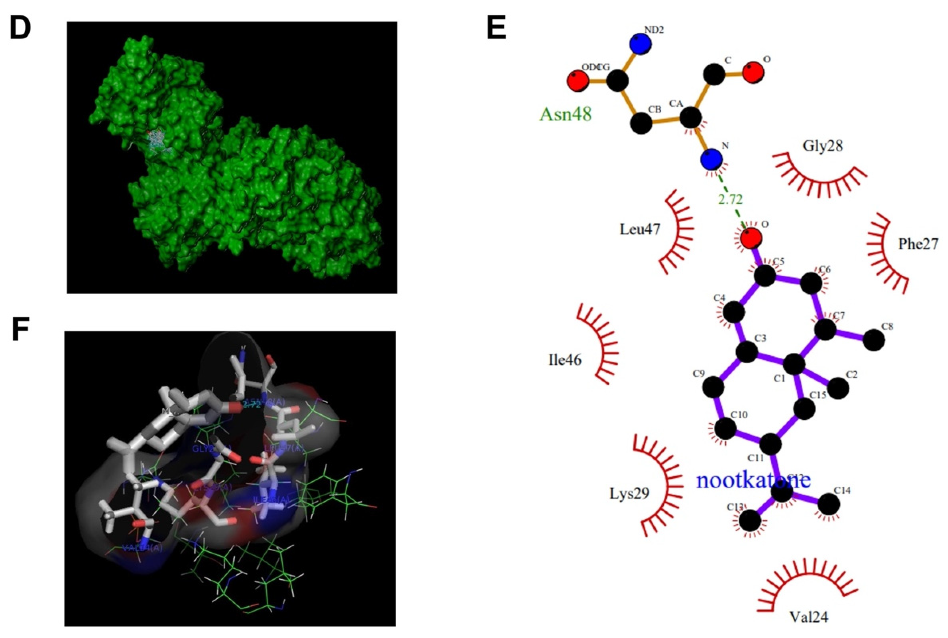 Pharmaceutics 14 00906 g004b Pharmaceutics 14 00906 g004b