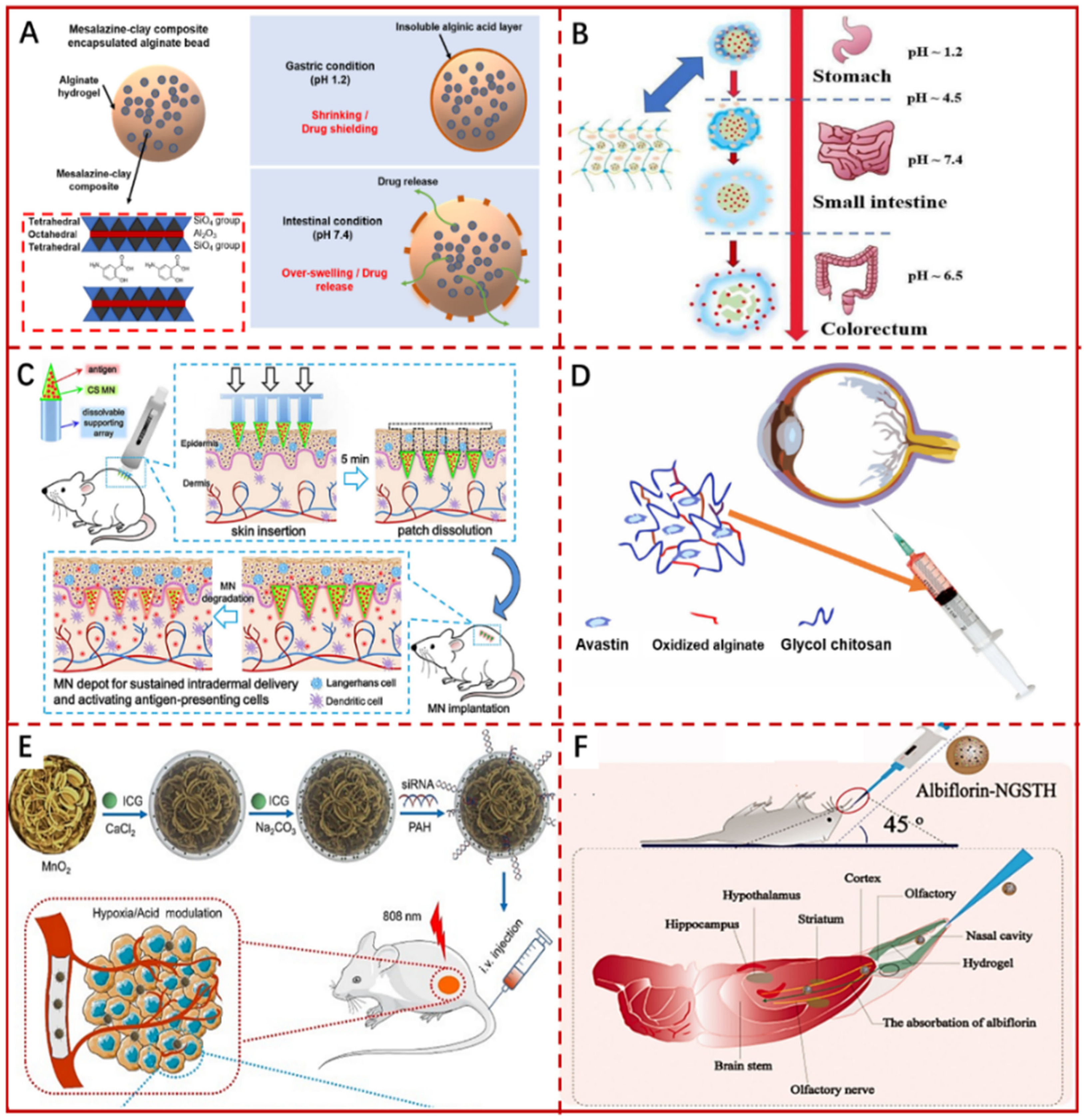 Pharmaceutics 14 00909 g008