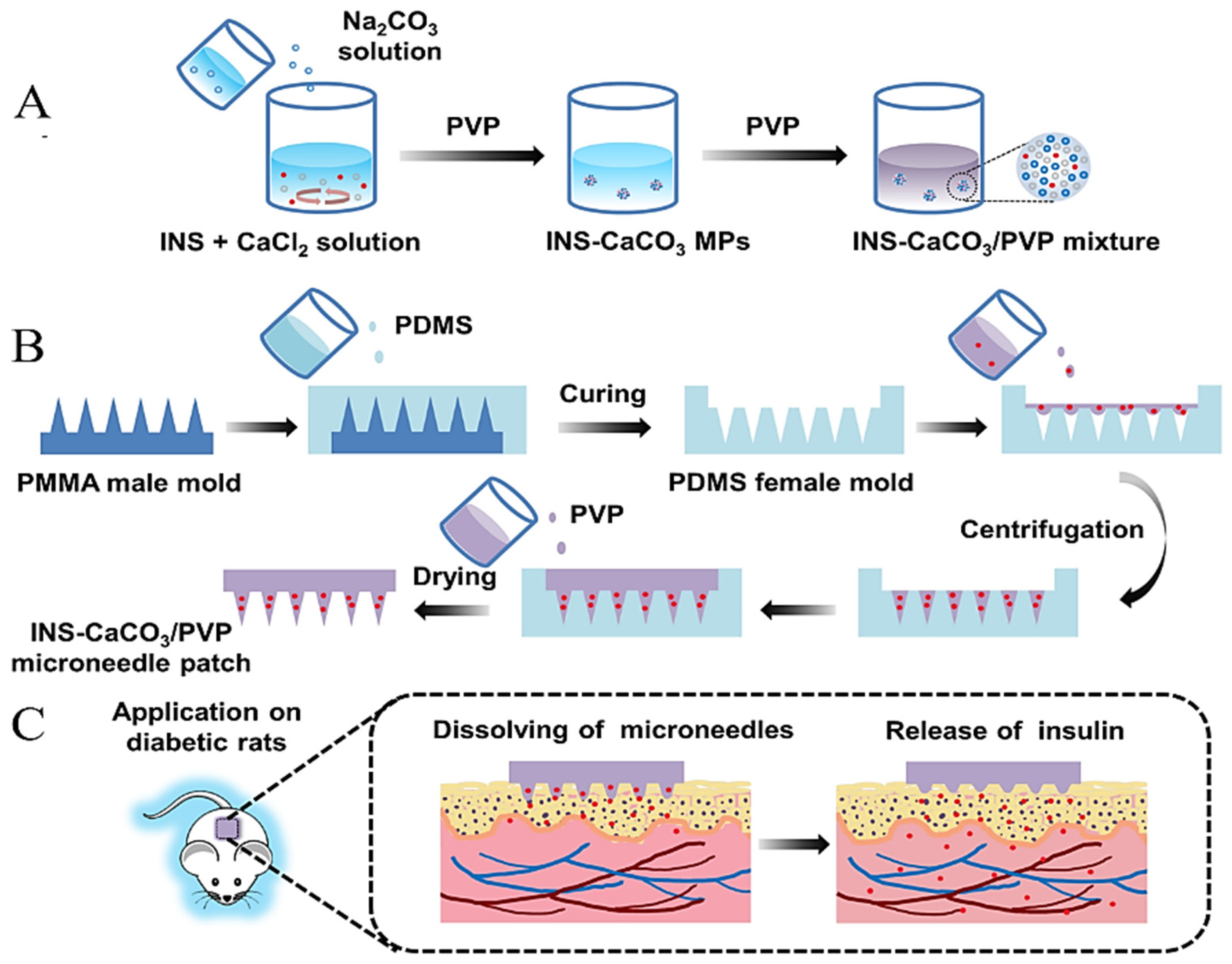 Pharmaceutics 14 00909 g009