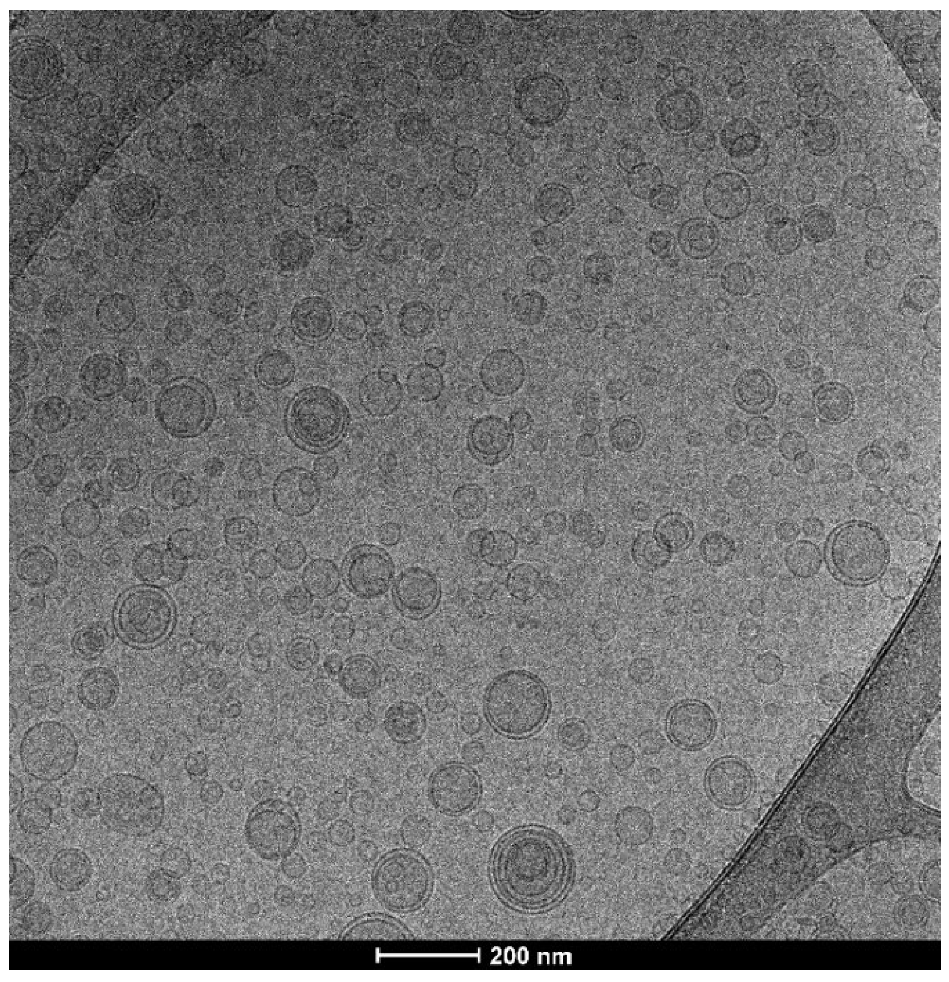 Pharmaceutics 14 00910 g002
