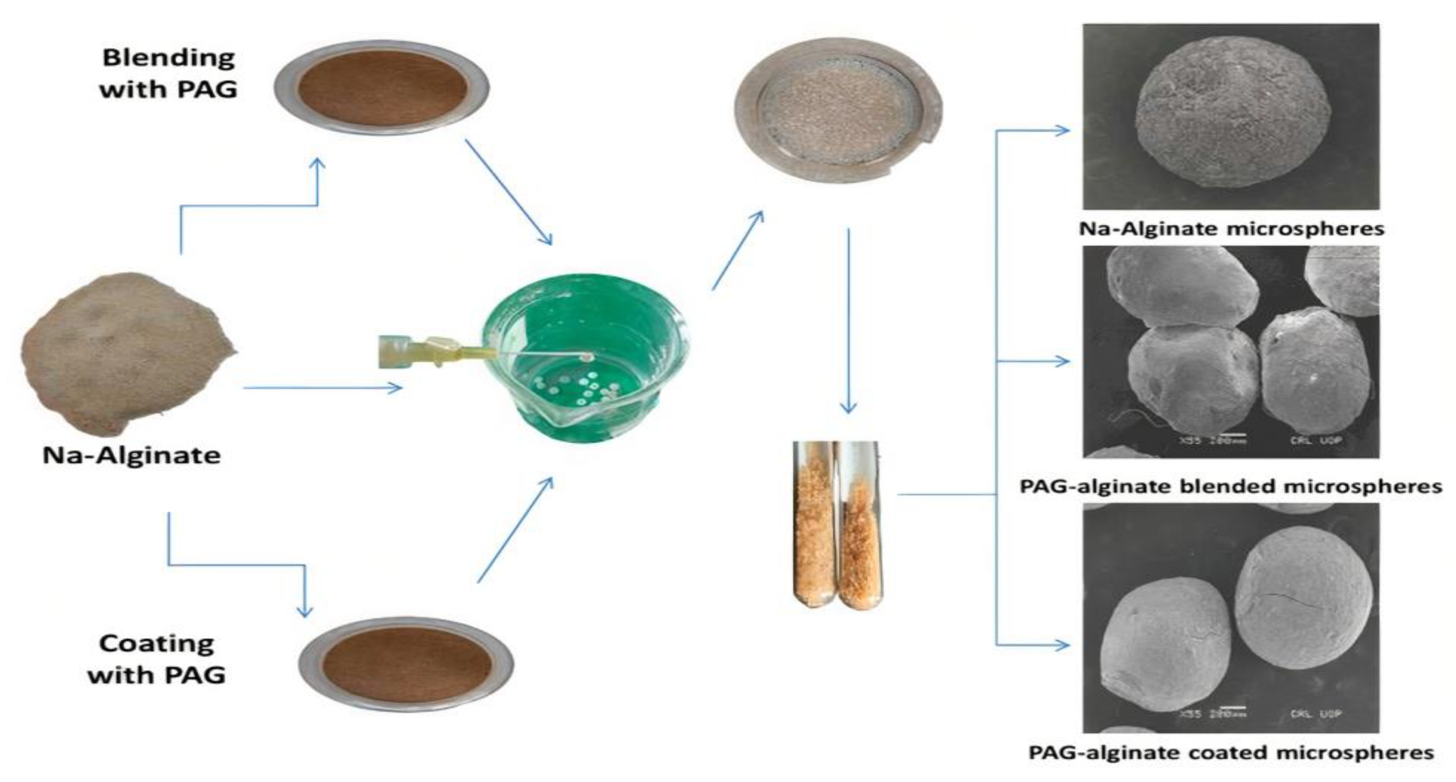 Pharmaceutics 14 00916 g001