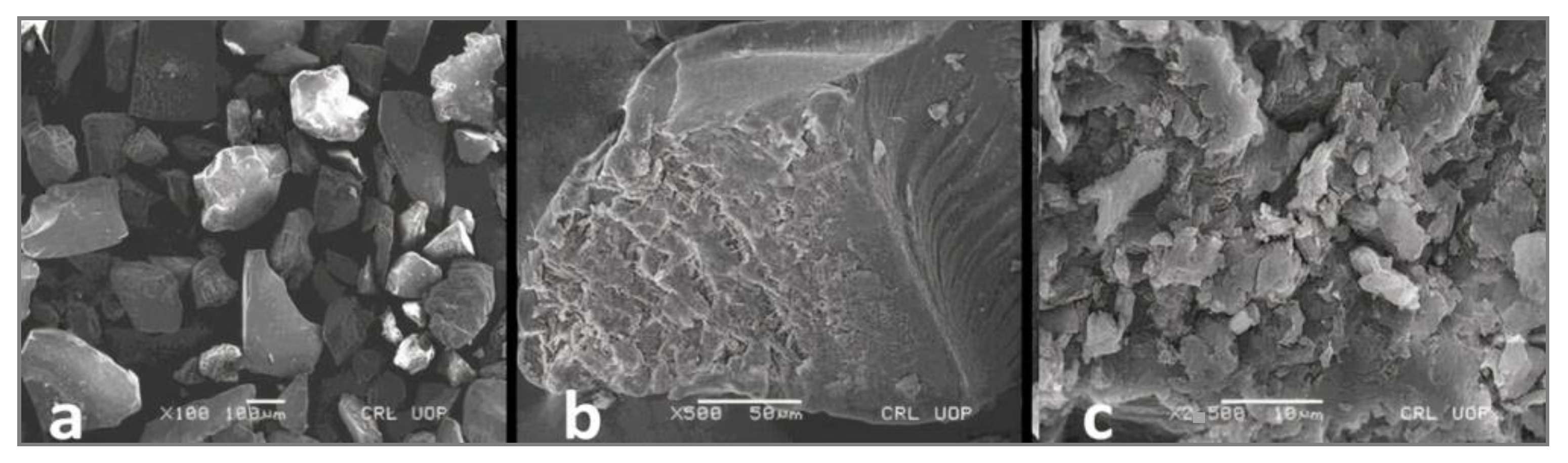 Pharmaceutics 14 00916 g003