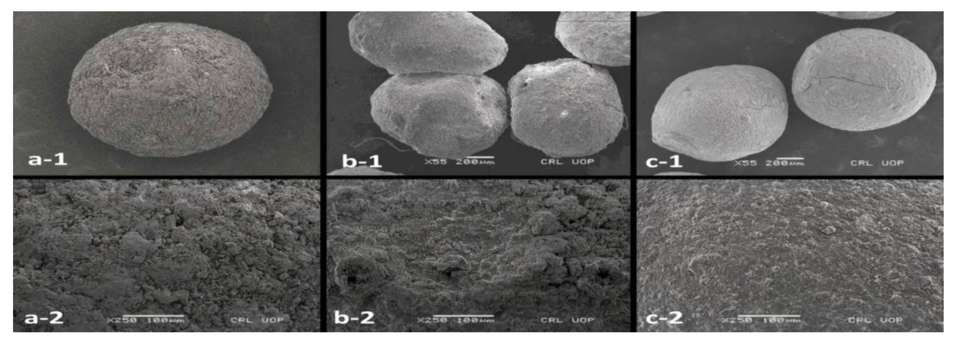 Pharmaceutics 14 00916 g010