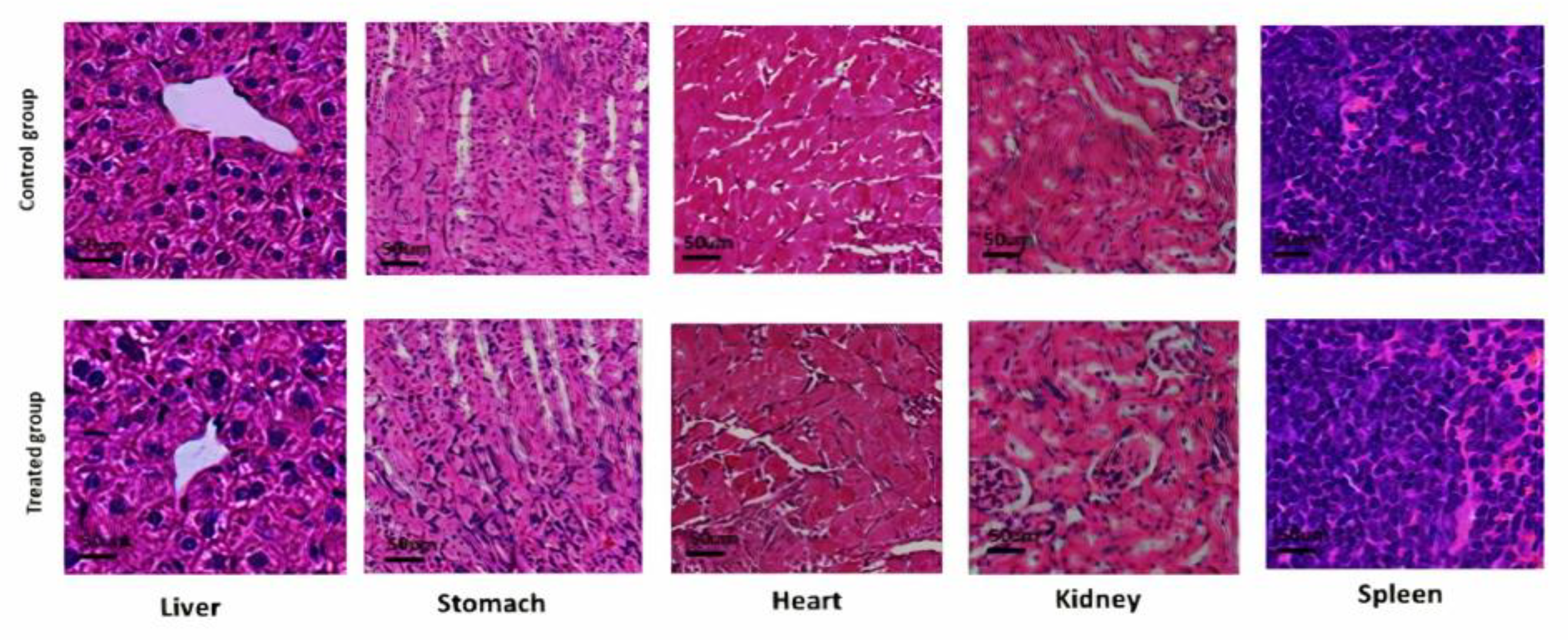 Pharmaceutics 14 00916 g012
