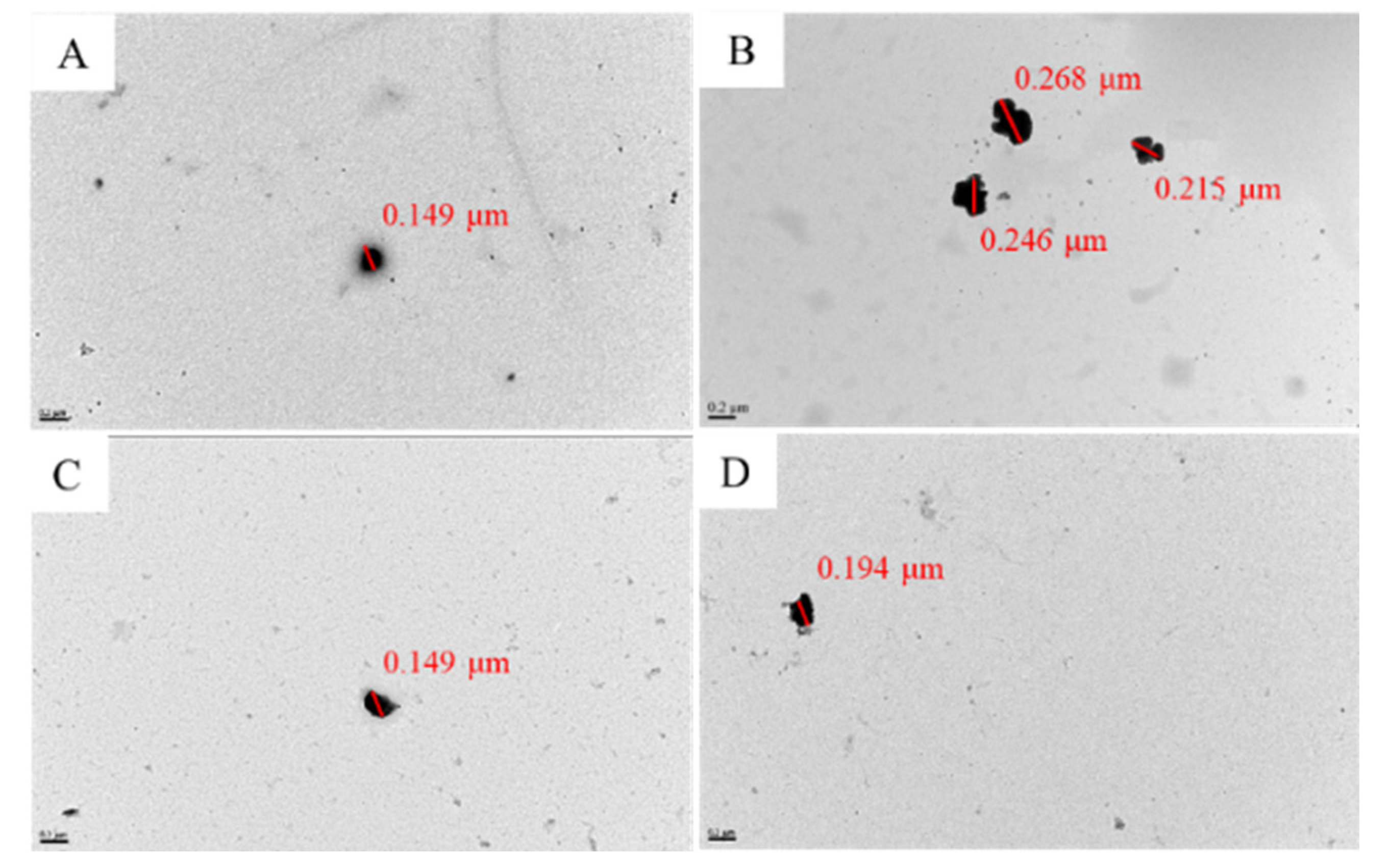 Pharmaceutics 14 00921 g002 550