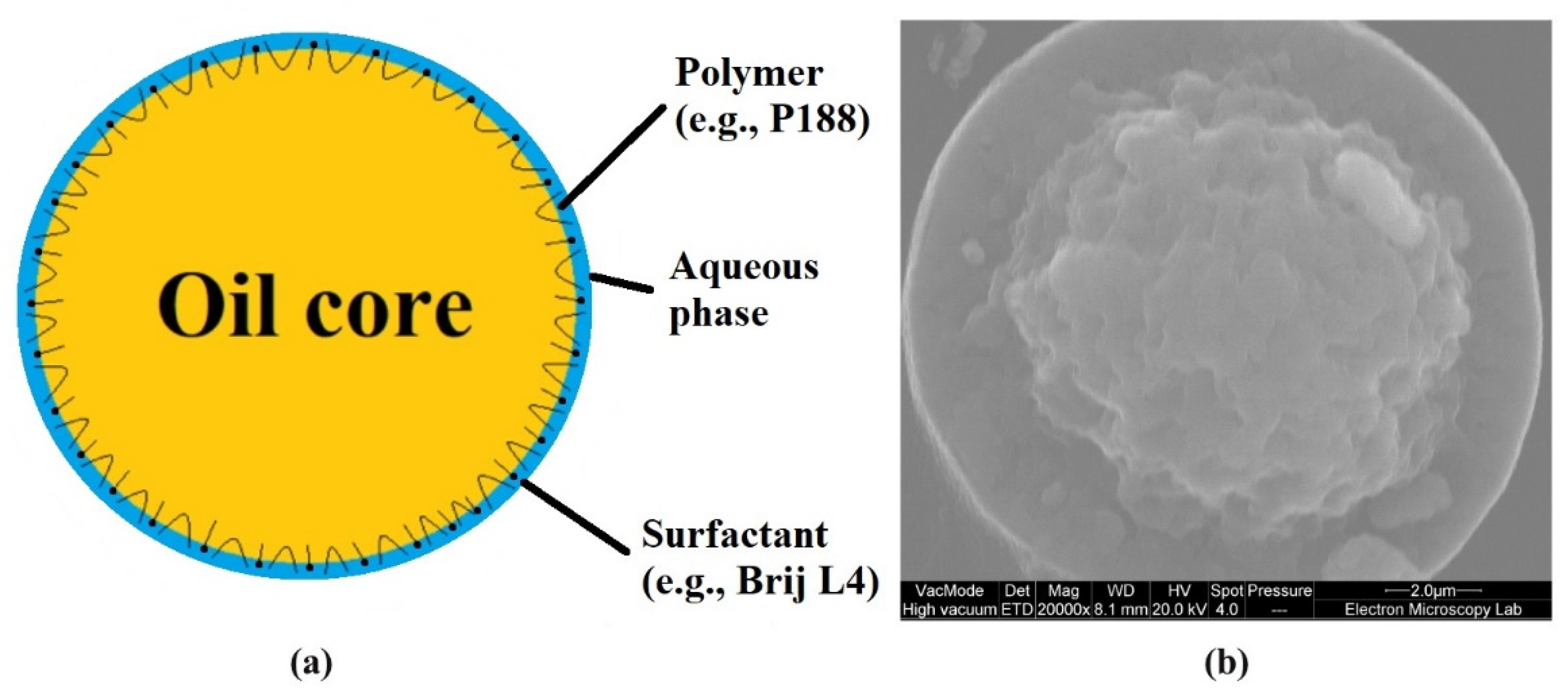 Pharmaceutics 14 00926 g001 550