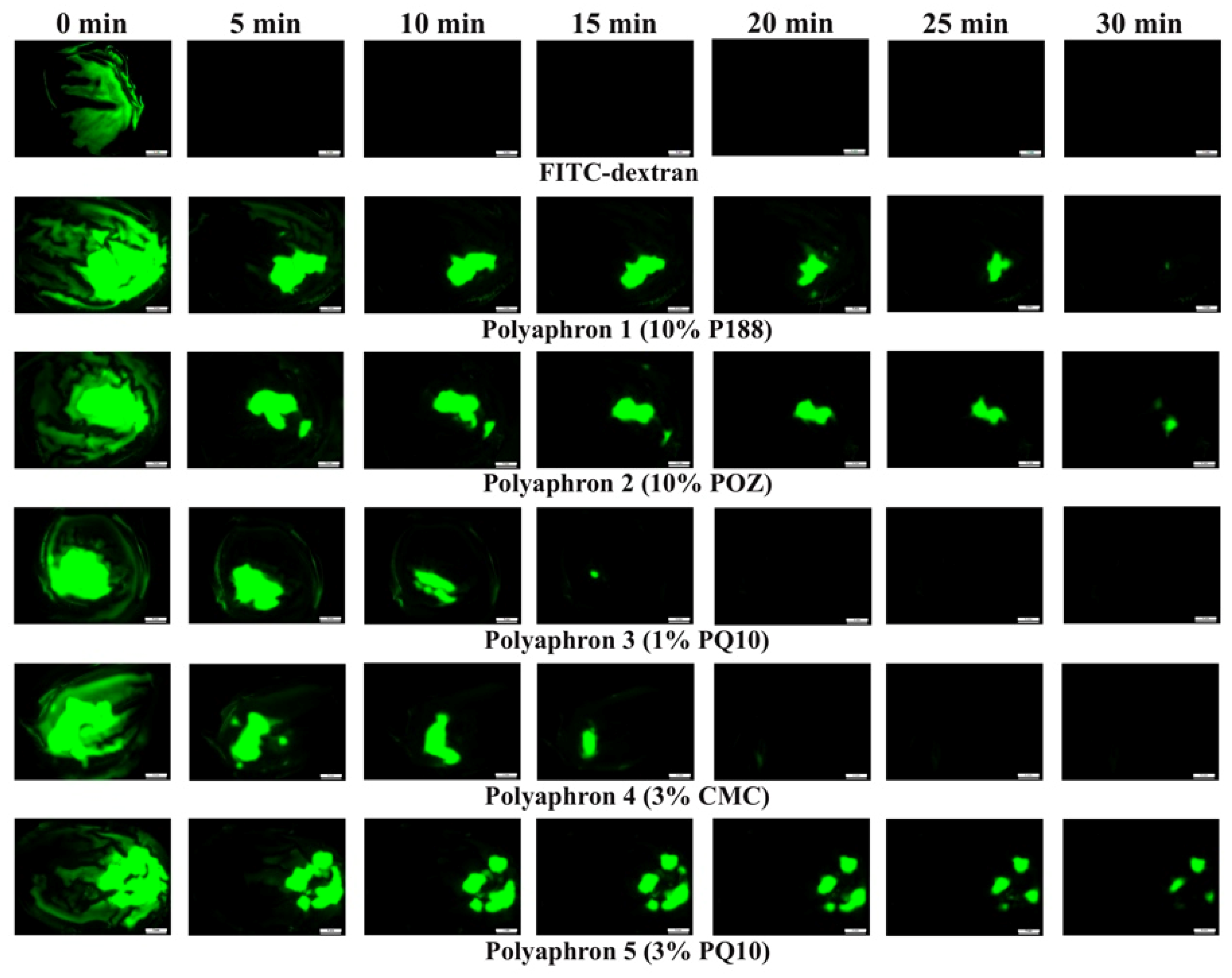 Pharmaceutics 14 00926 g005 550