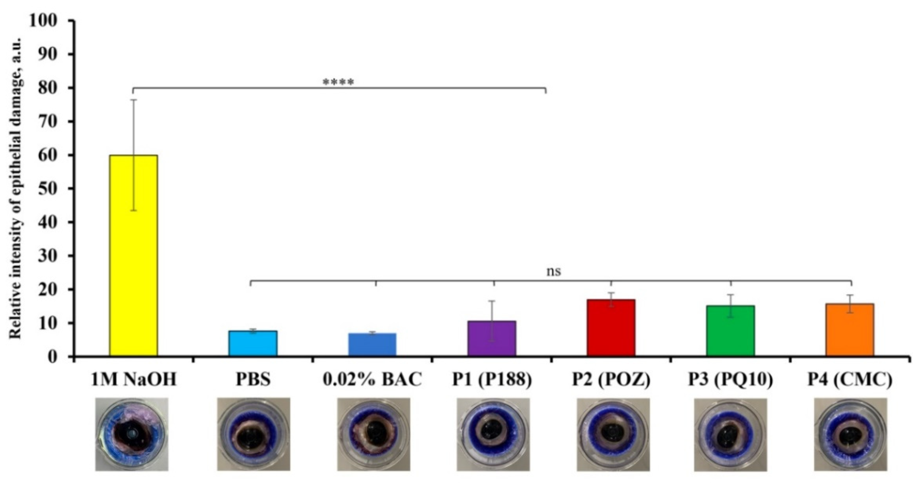 Pharmaceutics 14 00926 g008 550