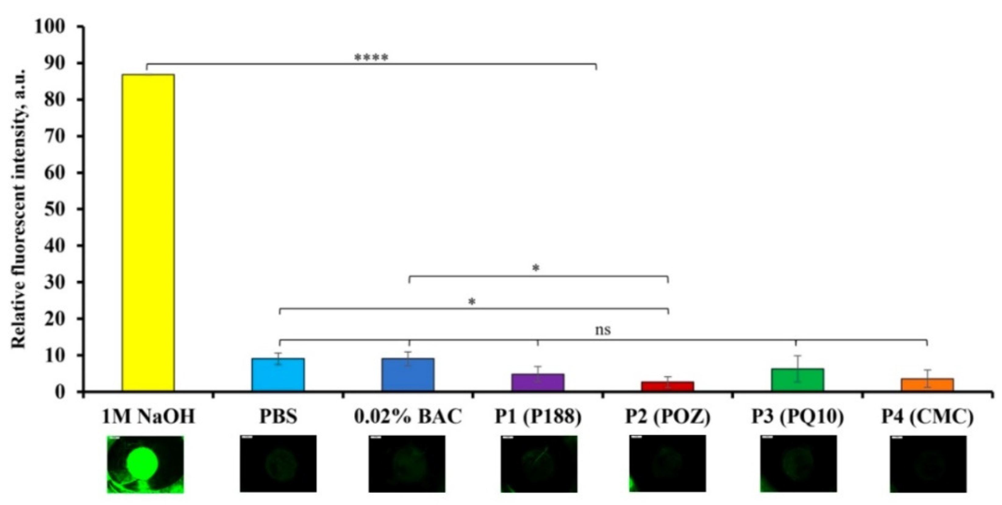 Pharmaceutics 14 00926 g009 550