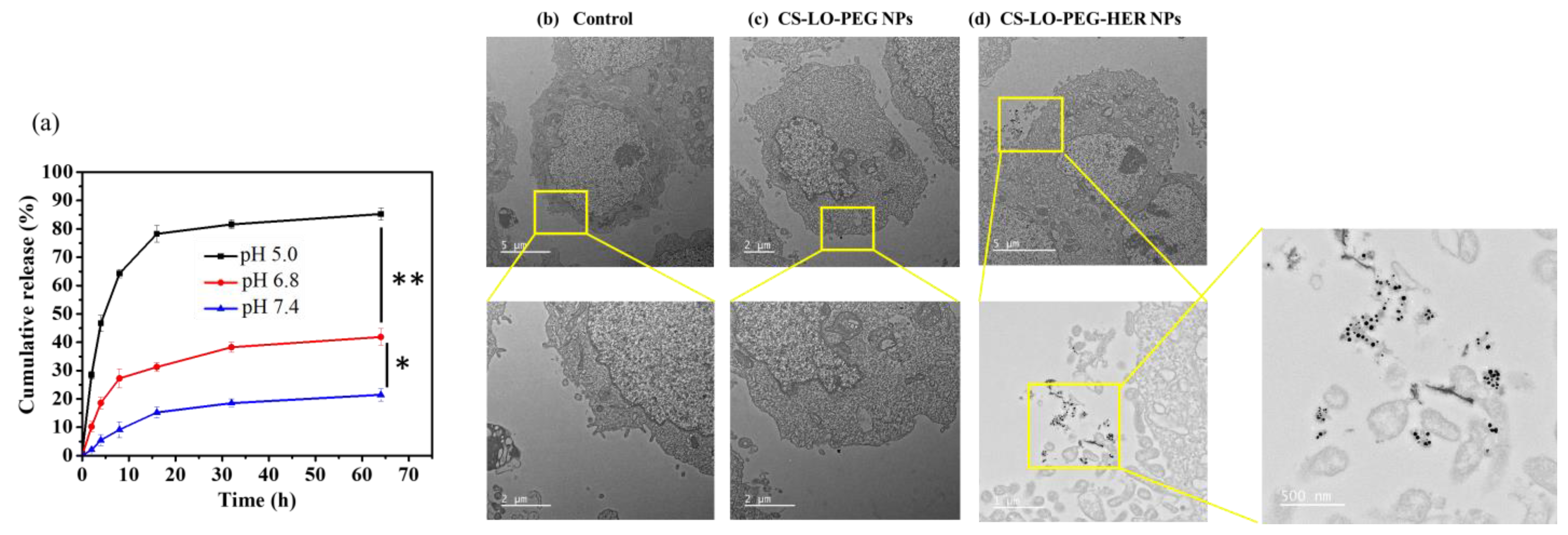 Pharmaceutics 14 00927 g003 Pharmaceutics 14 00927 g003
