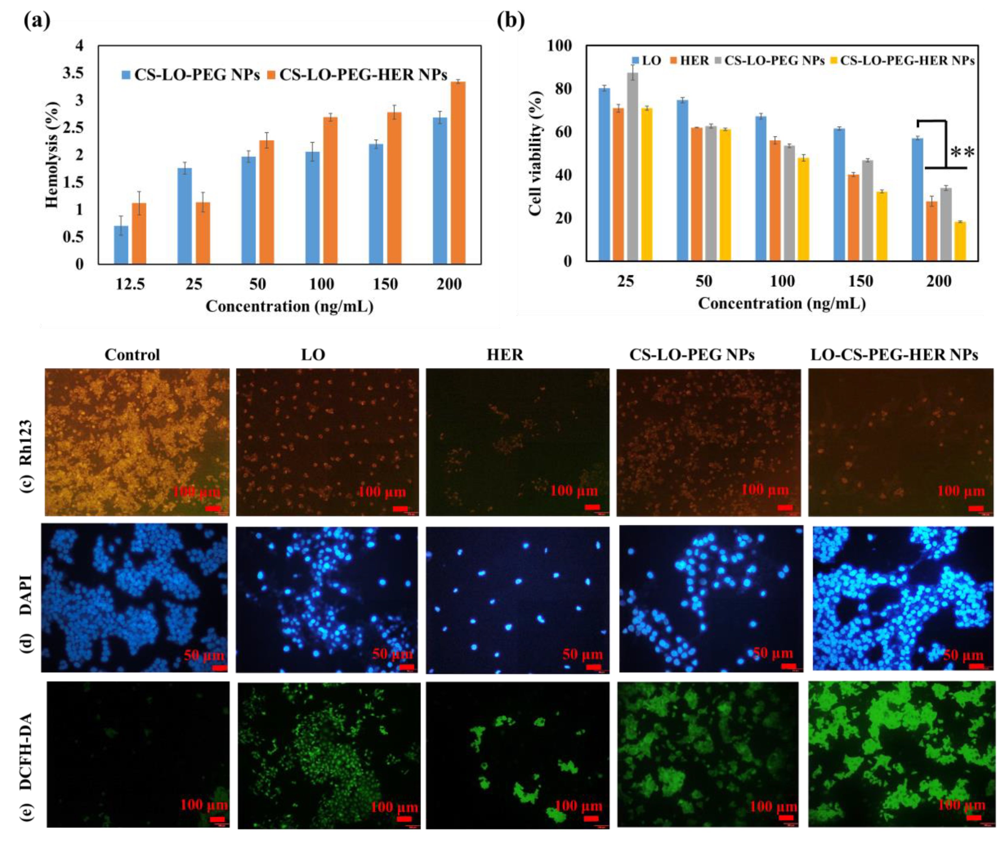 Pharmaceutics 14 00927 g004 Pharmaceutics 14 00927 g004