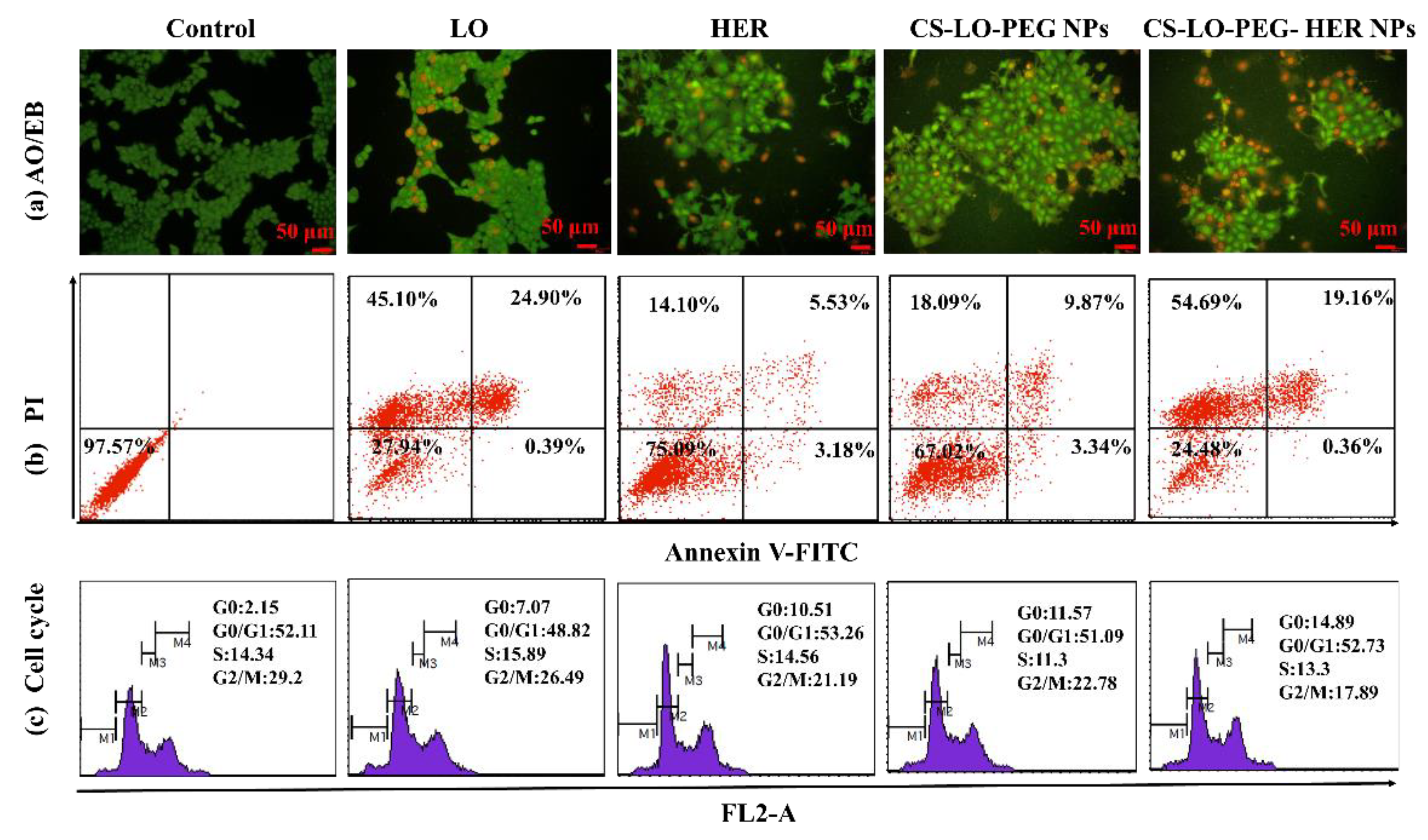 Pharmaceutics 14 00927 g005 Pharmaceutics 14 00927 g005