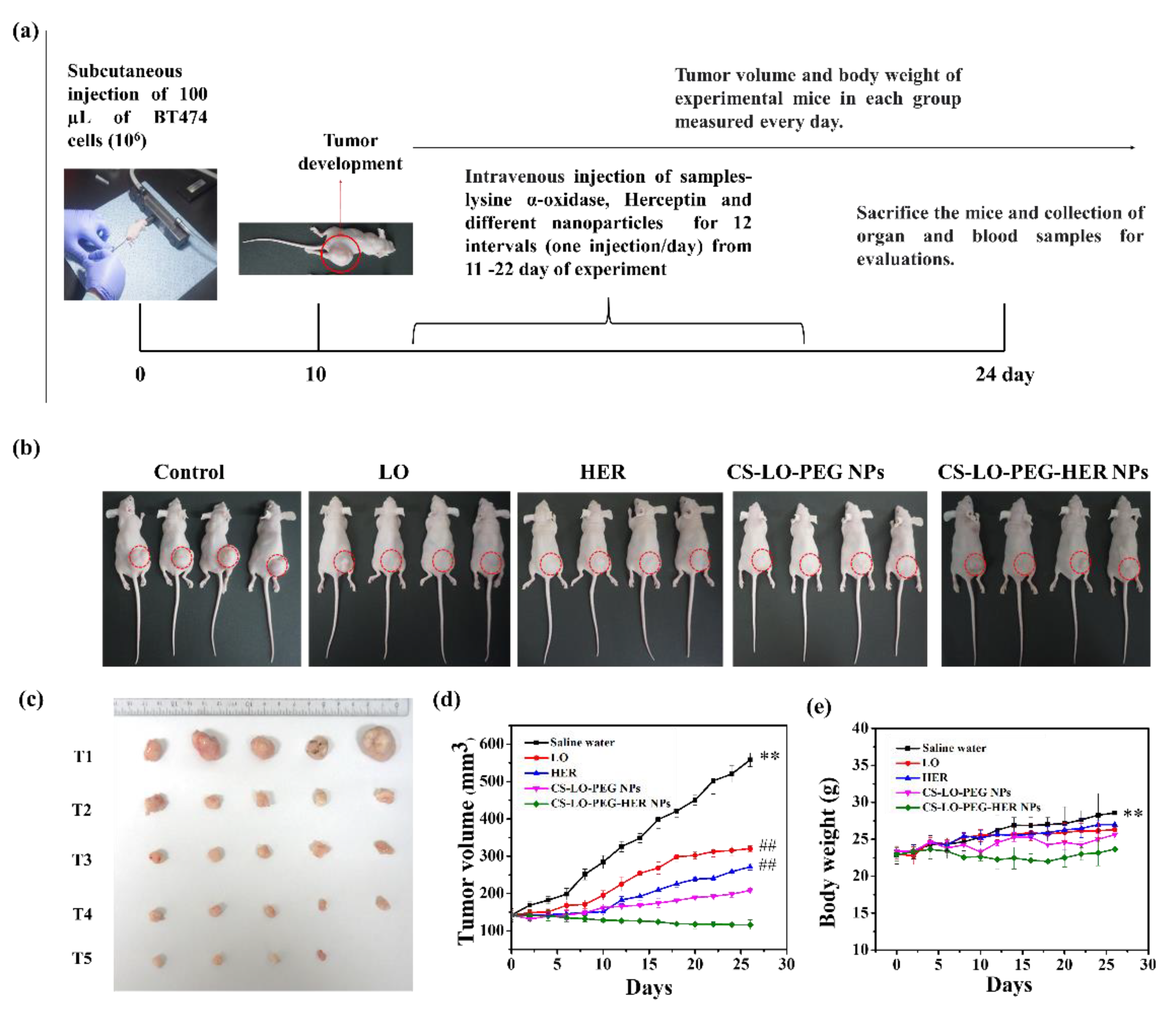 Pharmaceutics 14 00927 g006 Pharmaceutics 14 00927 g006