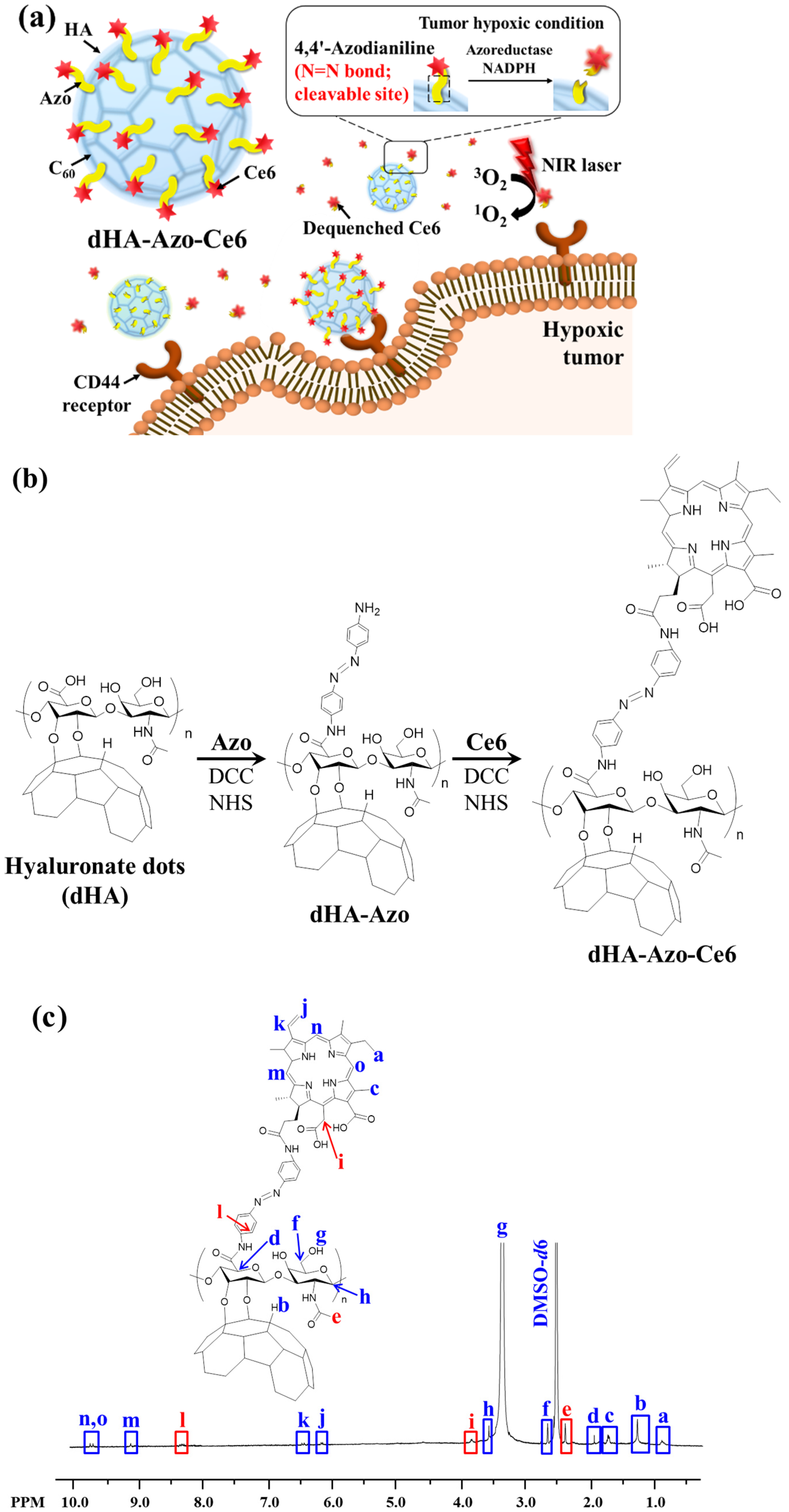 Pharmaceutics 14 00928 g001a