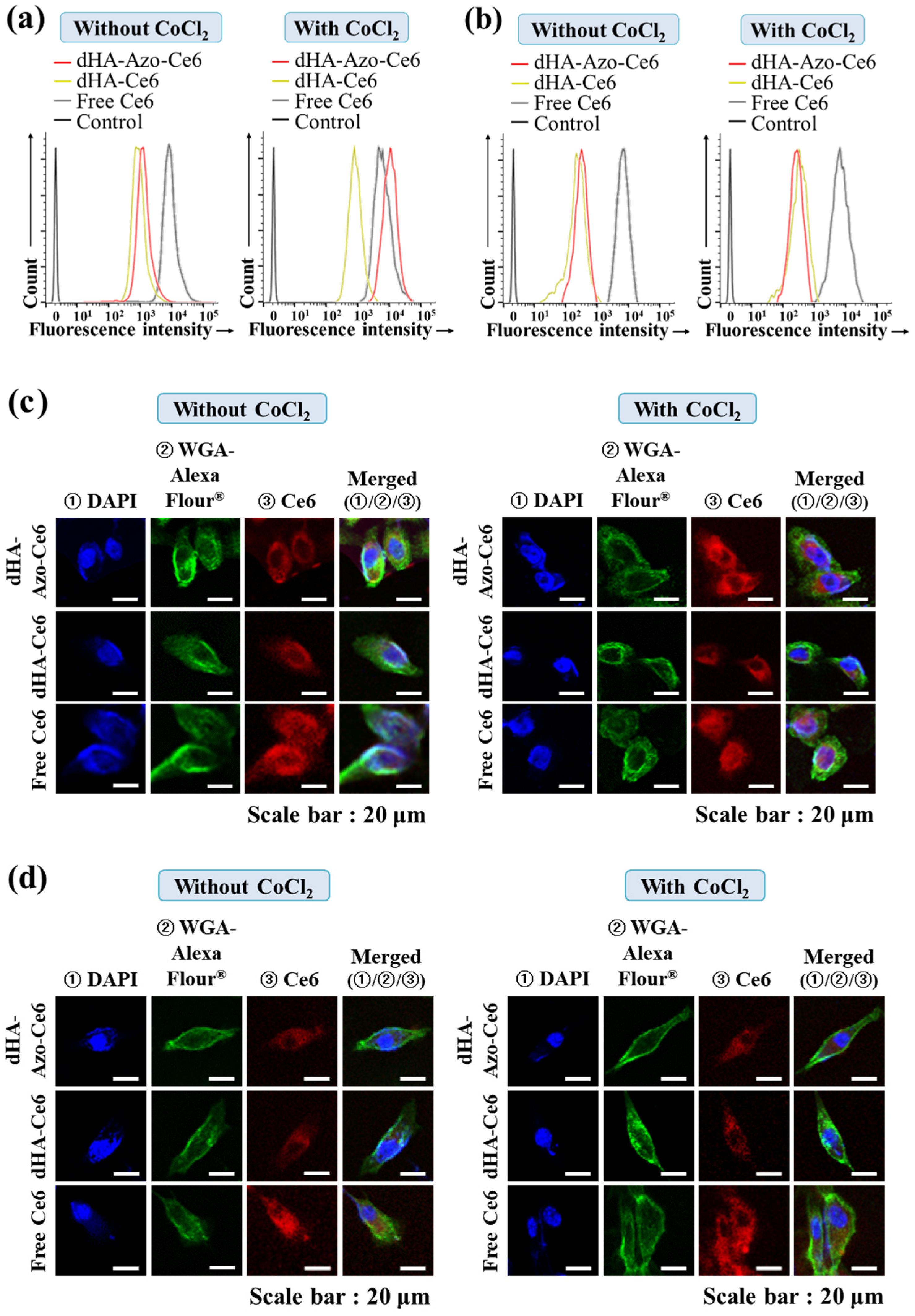 Pharmaceutics 14 00928 g005a