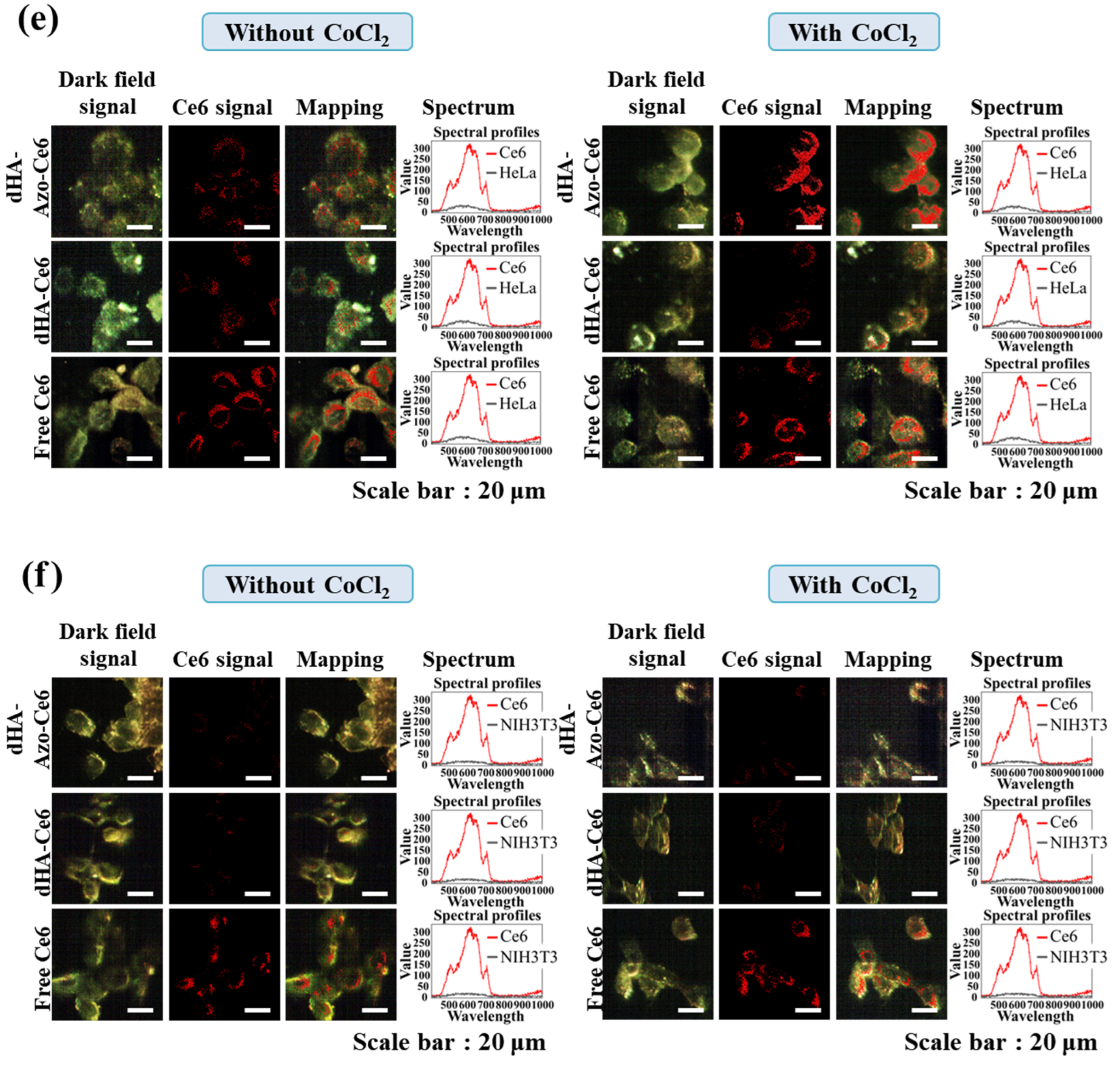 Pharmaceutics 14 00928 g005b