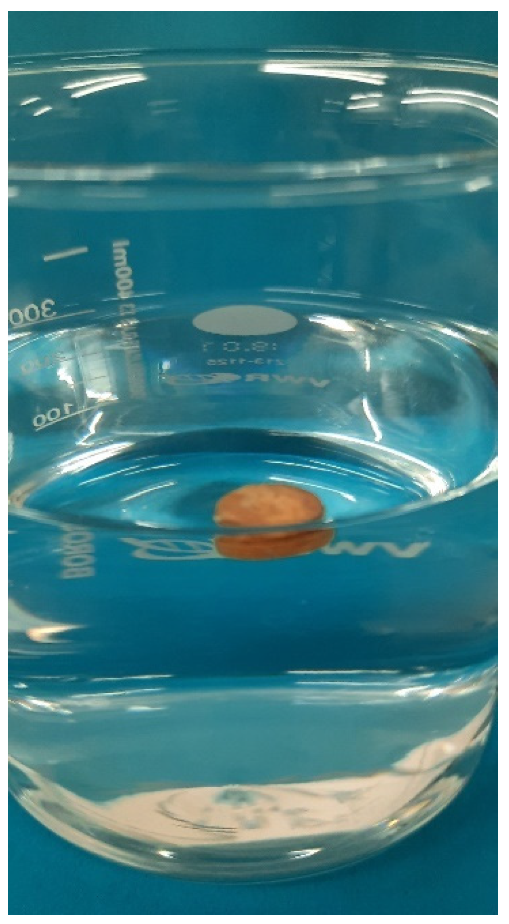 Pharmaceutics 14 00931 g007