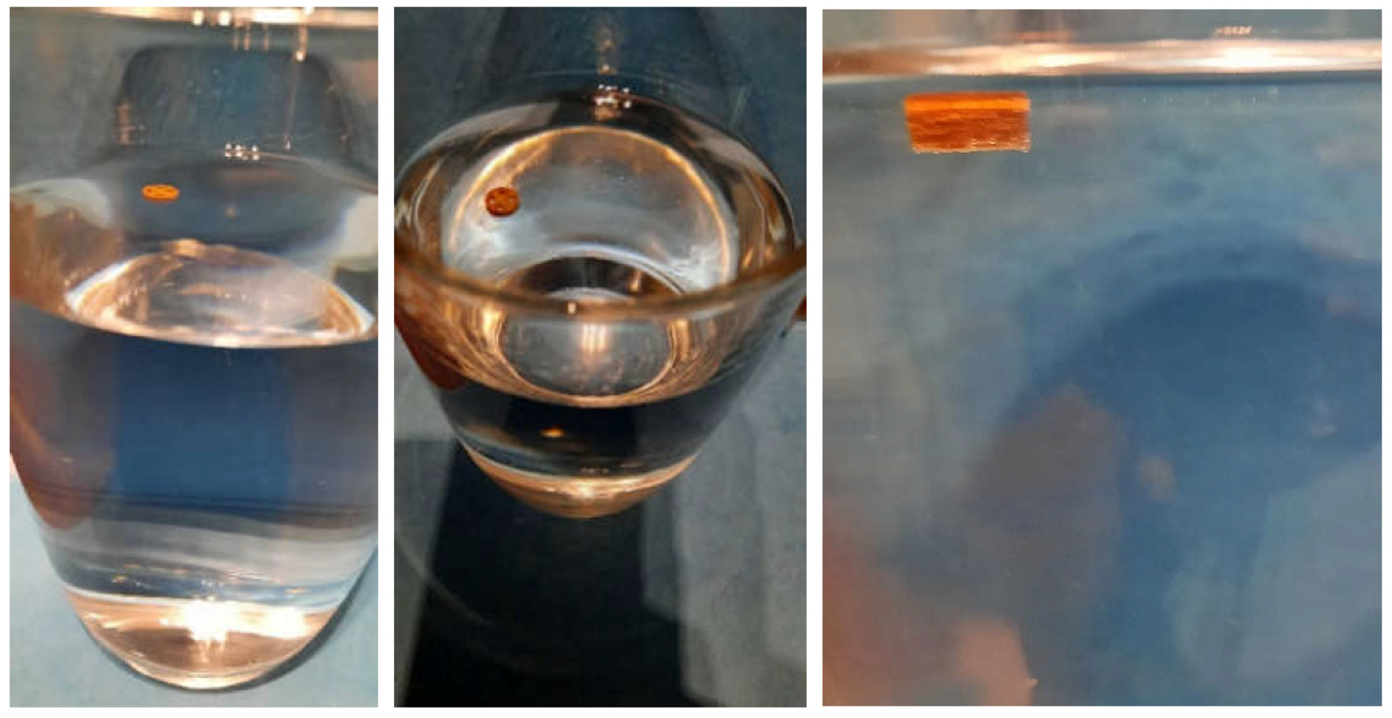 Pharmaceutics 14 00931 g013