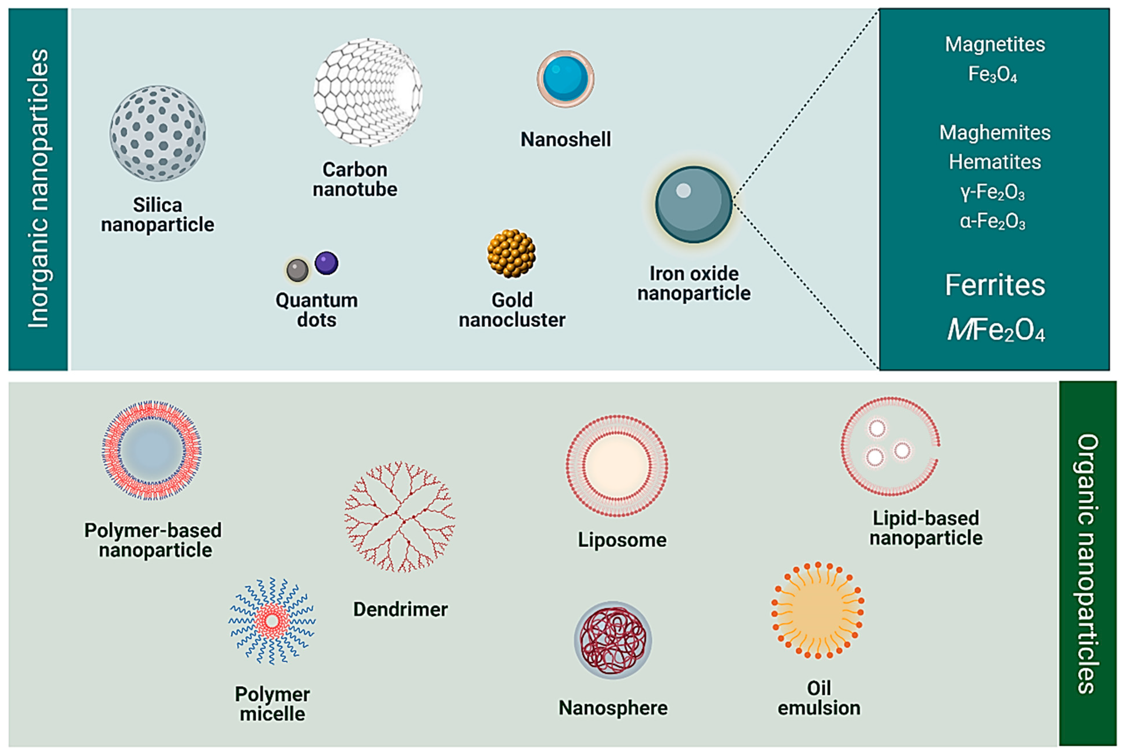 Pharmaceutics 14 00937 g001