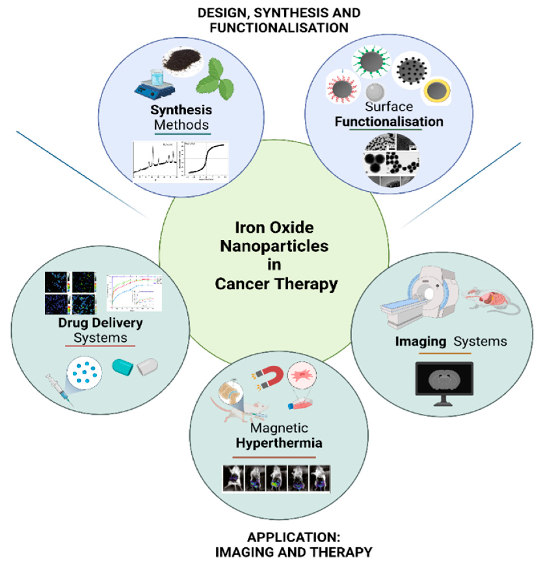 Pharmaceutics 14 00937 g003