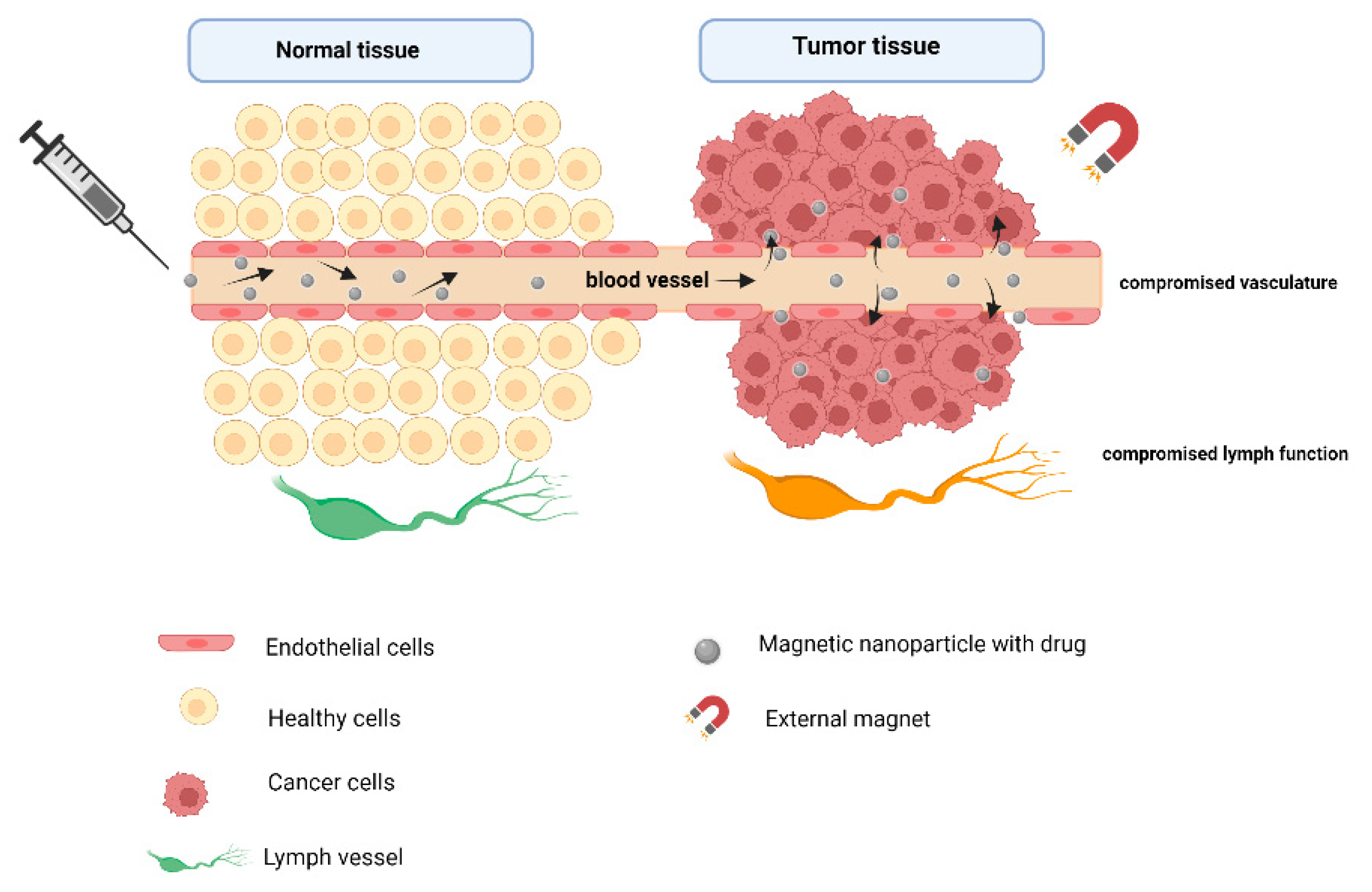 Pharmaceutics 14 00937 g004