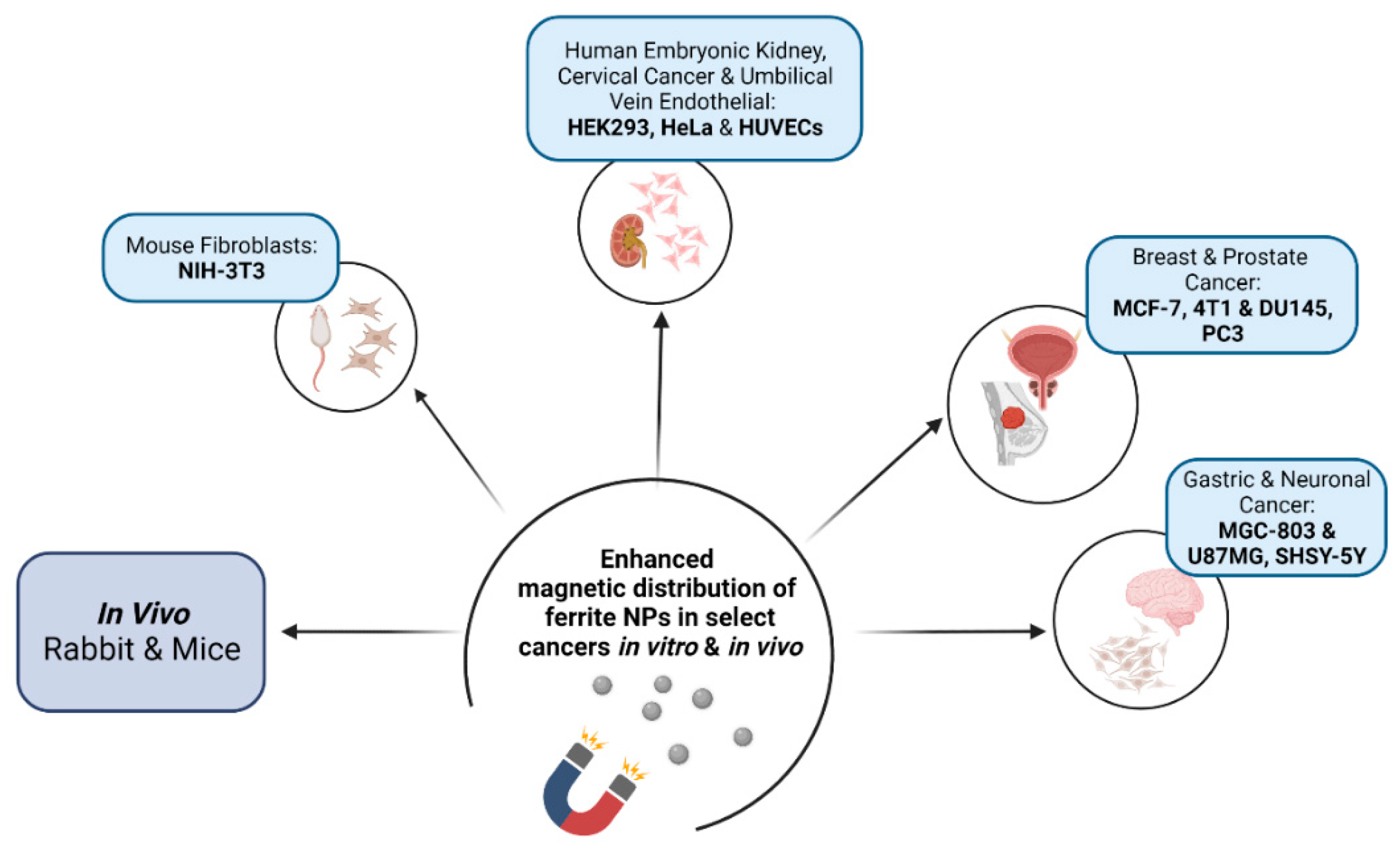 Pharmaceutics 14 00937 g005