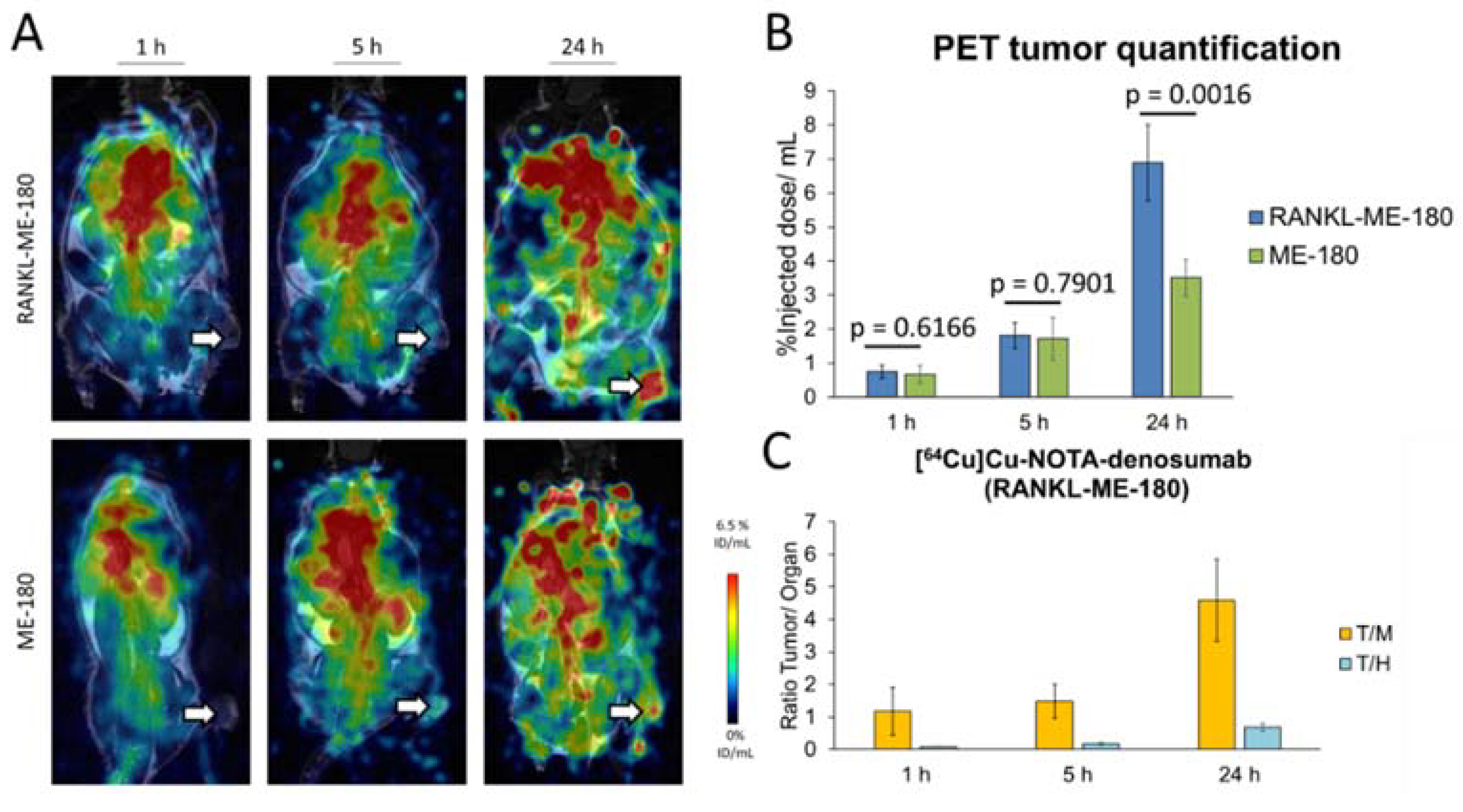 Pharmaceutics 14 00939 g005