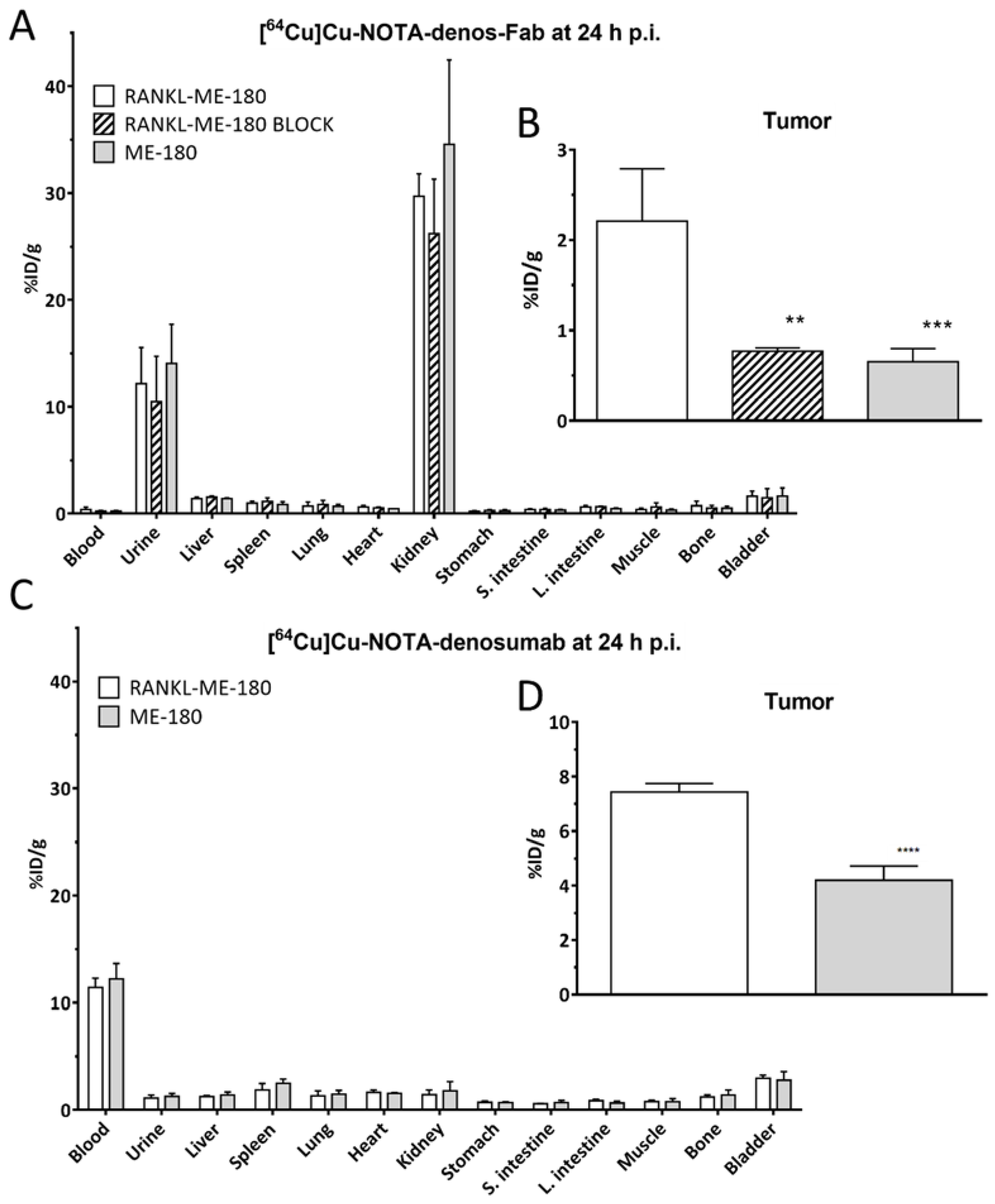 Pharmaceutics 14 00939 g006