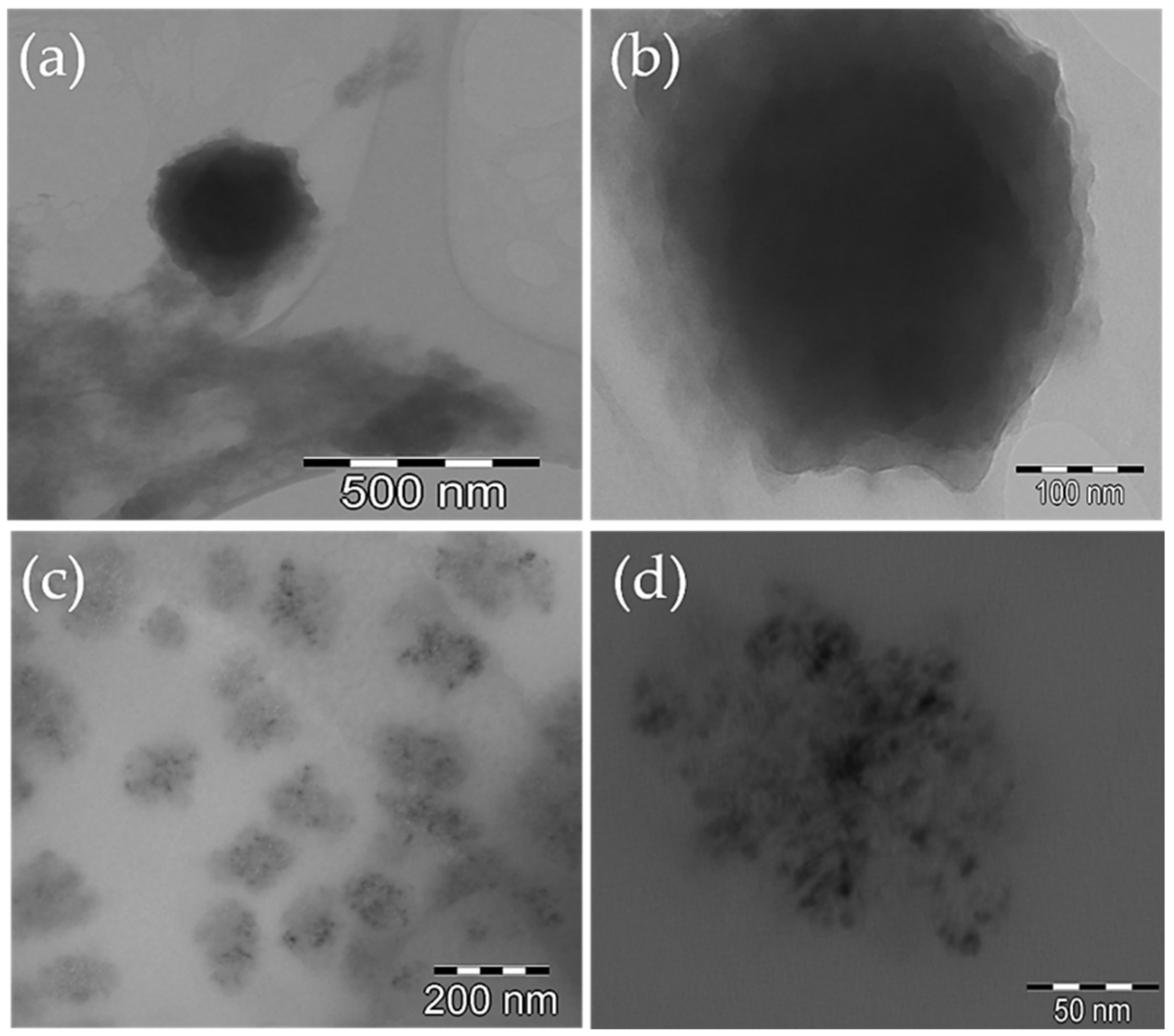 Pharmaceutics 14 00942 g002