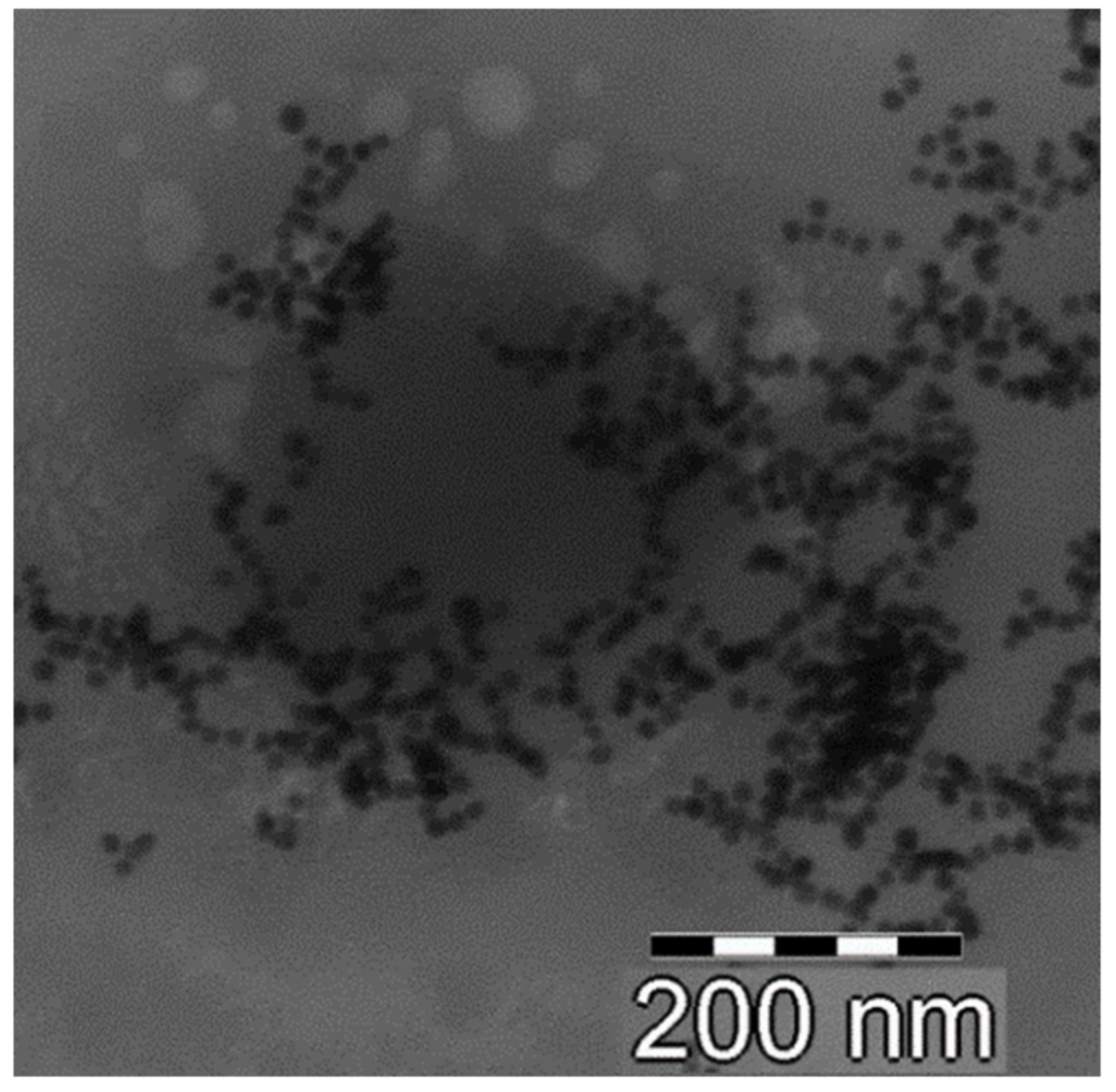 Pharmaceutics 14 00942 g003