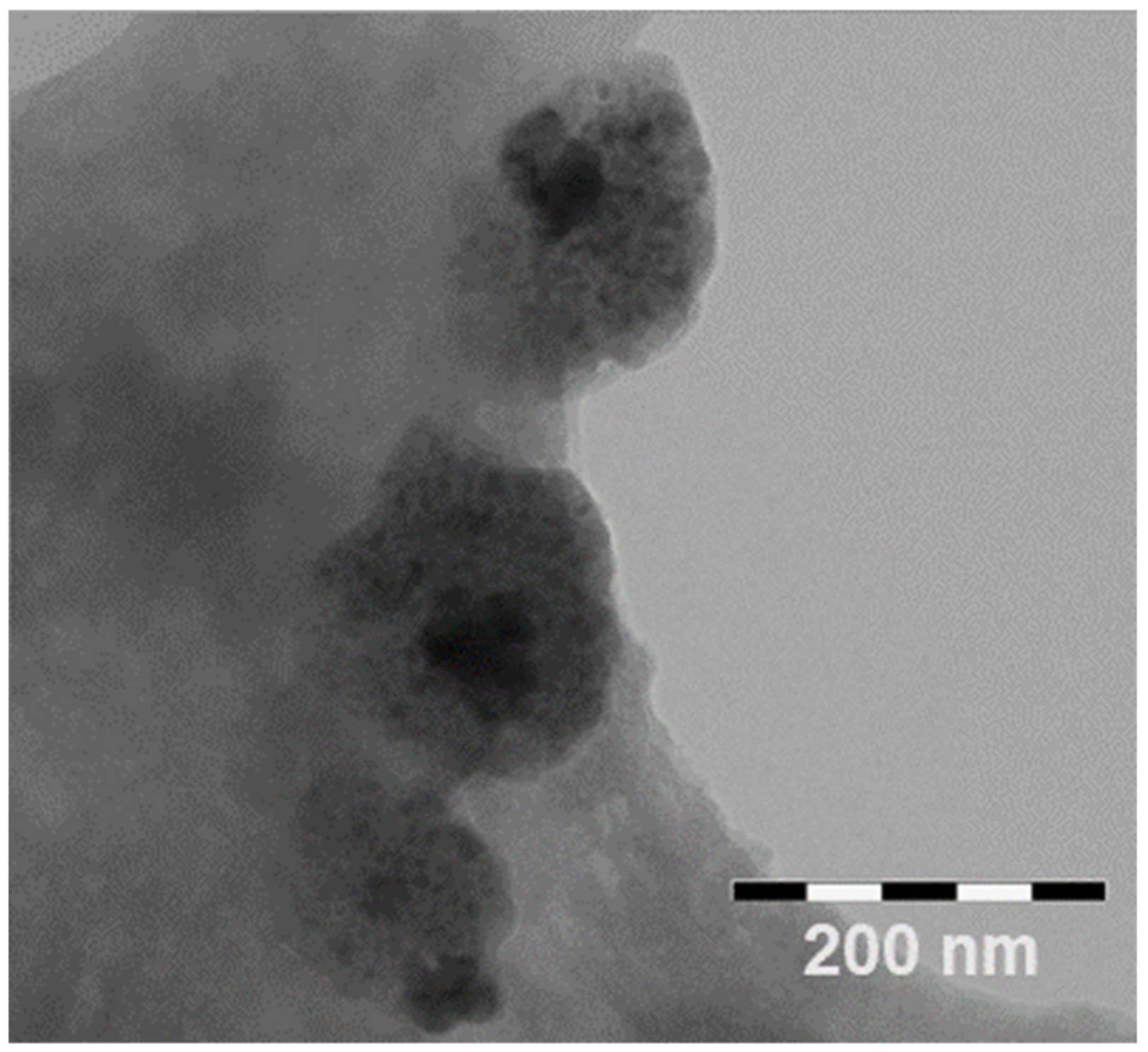 Pharmaceutics 14 00942 g005
