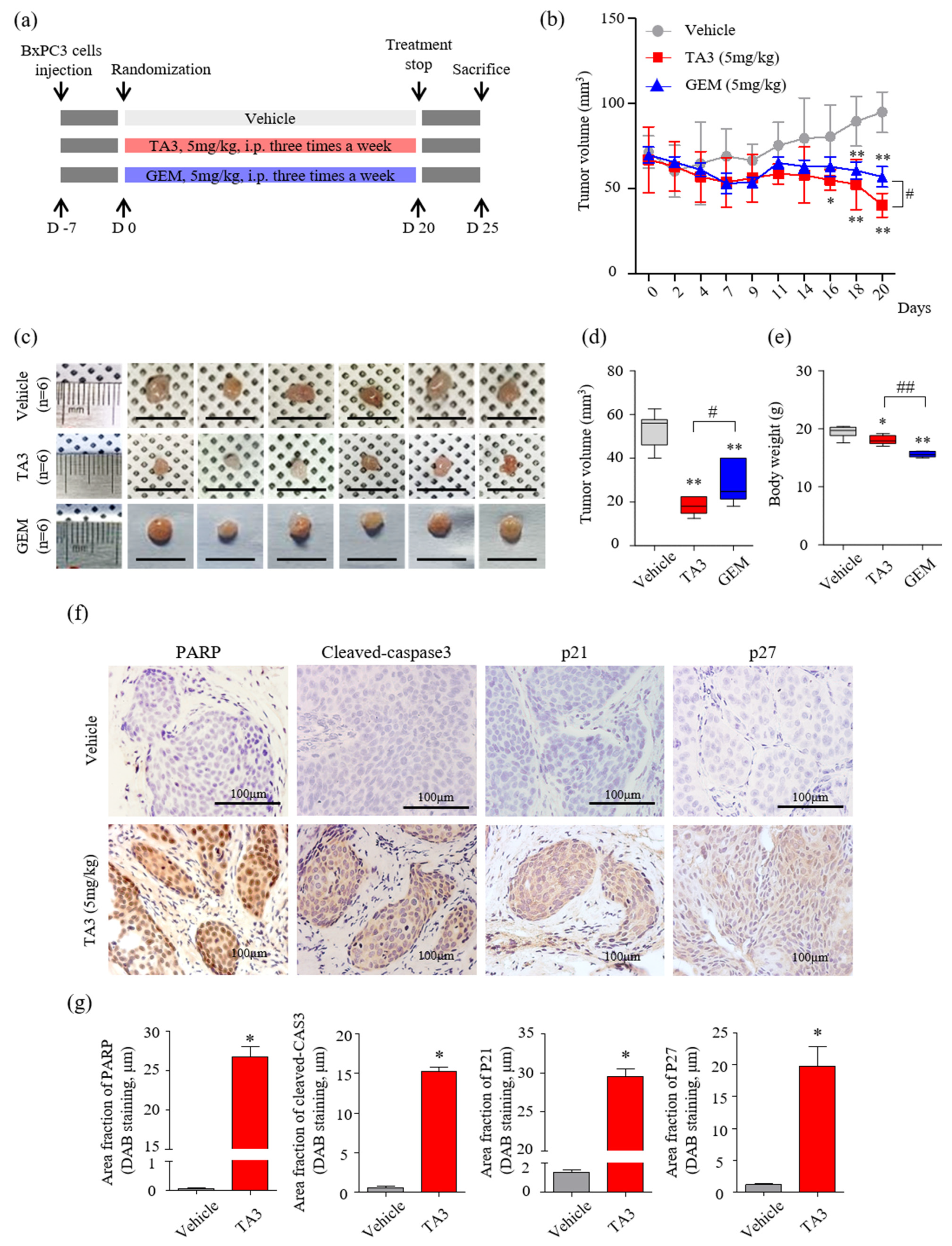 Pharmaceutics 14 00945 g005