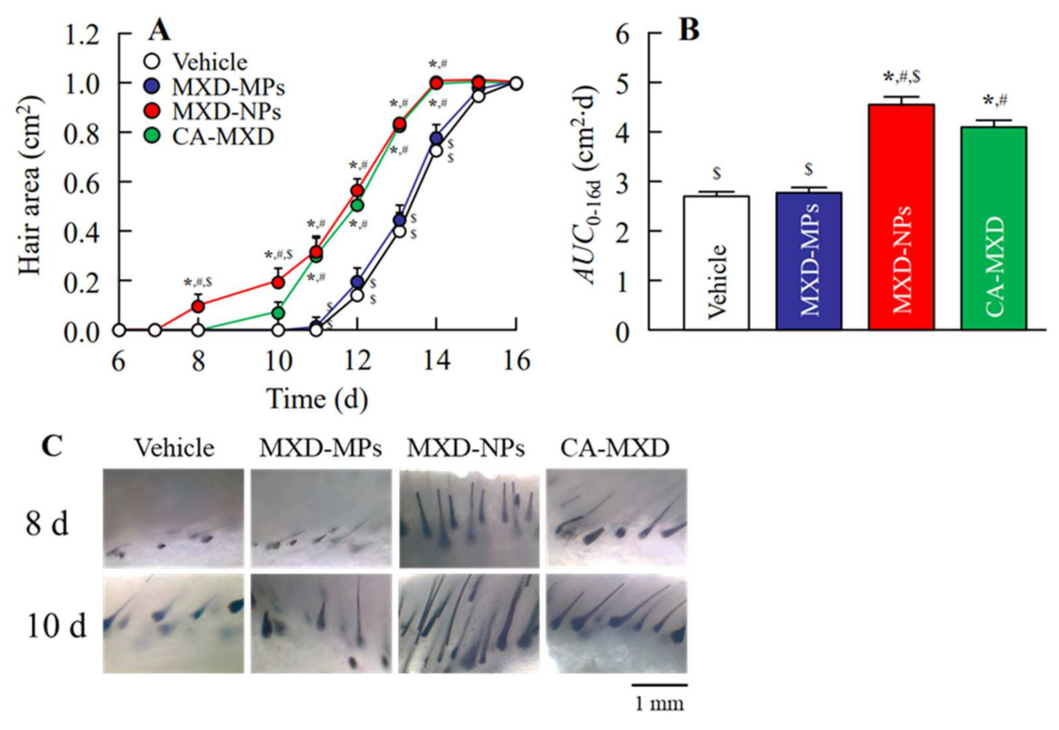 Pharmaceutics 14 00947 g004