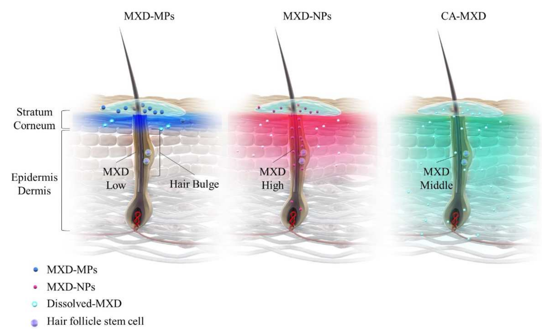 Pharmaceutics 14 00947 g008
