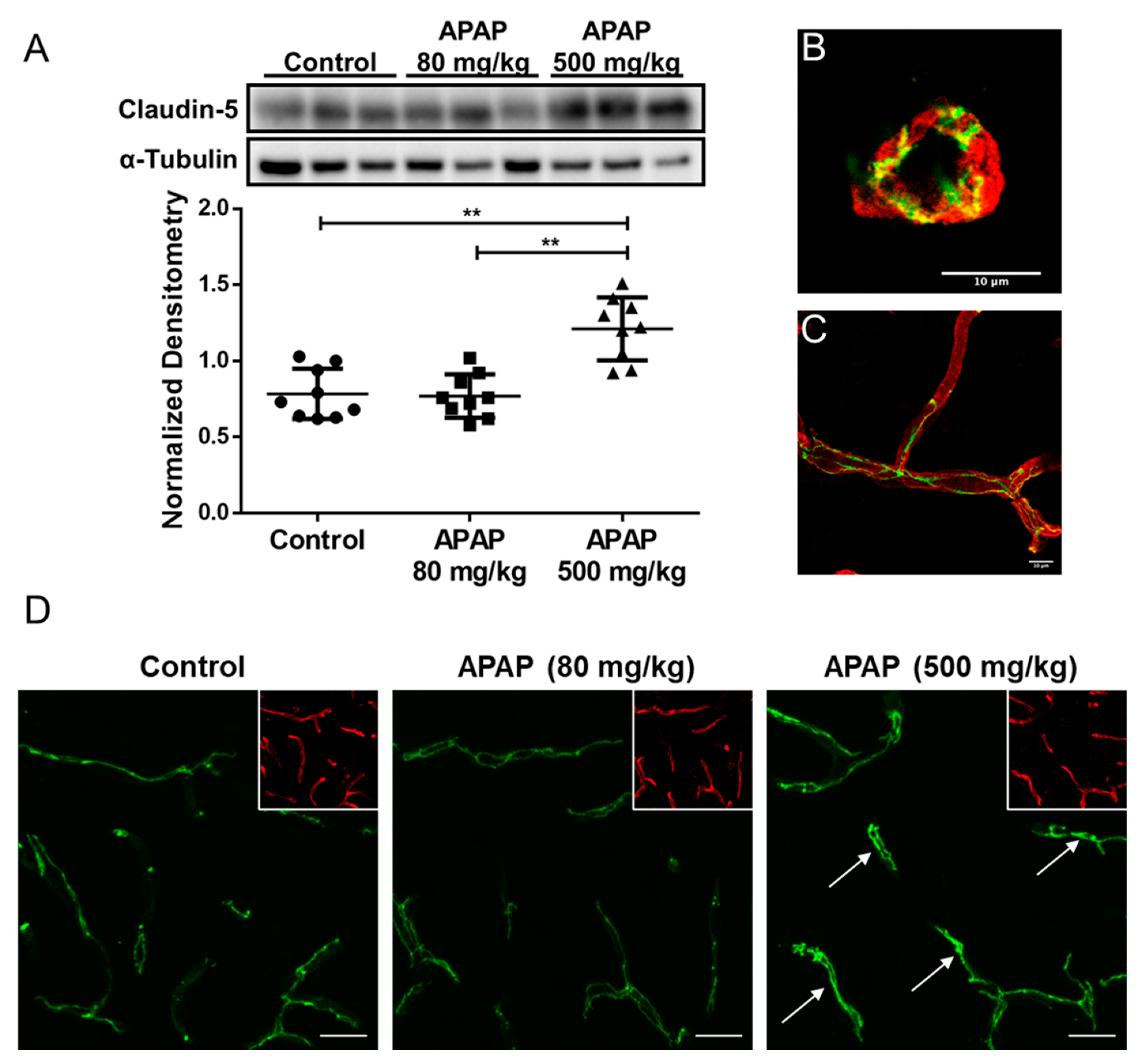 Pharmaceutics 14 00949 g002