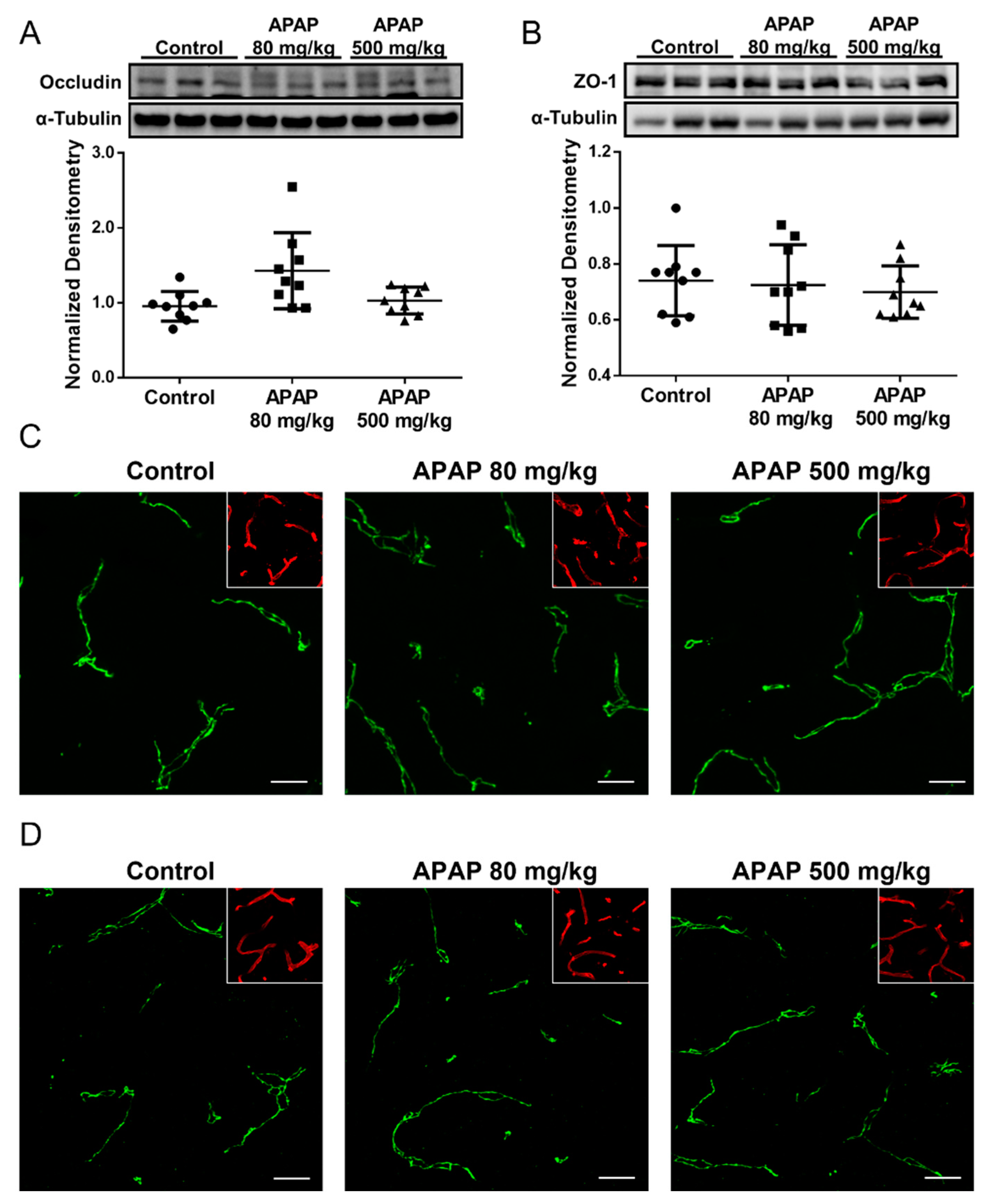Pharmaceutics 14 00949 g003