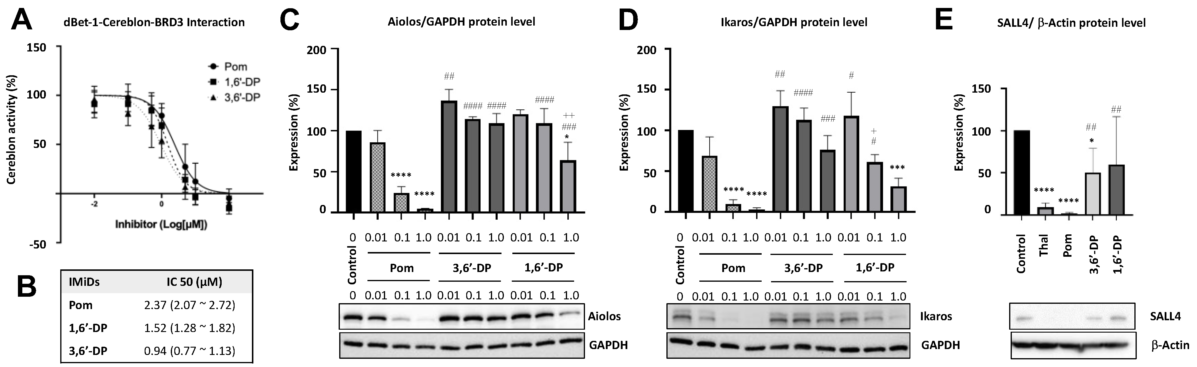 Pharmaceutics 14 00950 g002