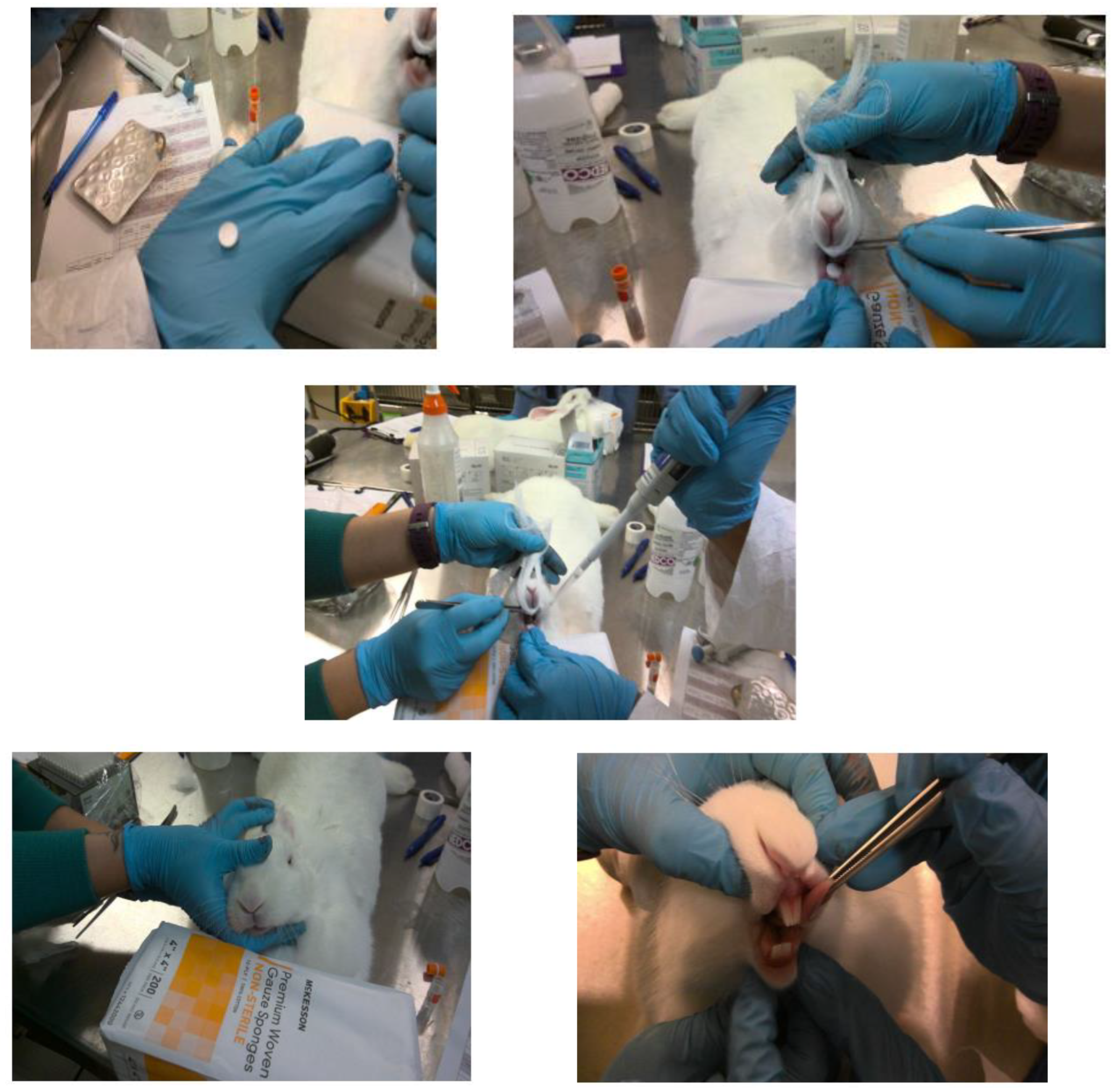 Pharmaceutics 14 00953 g001 550