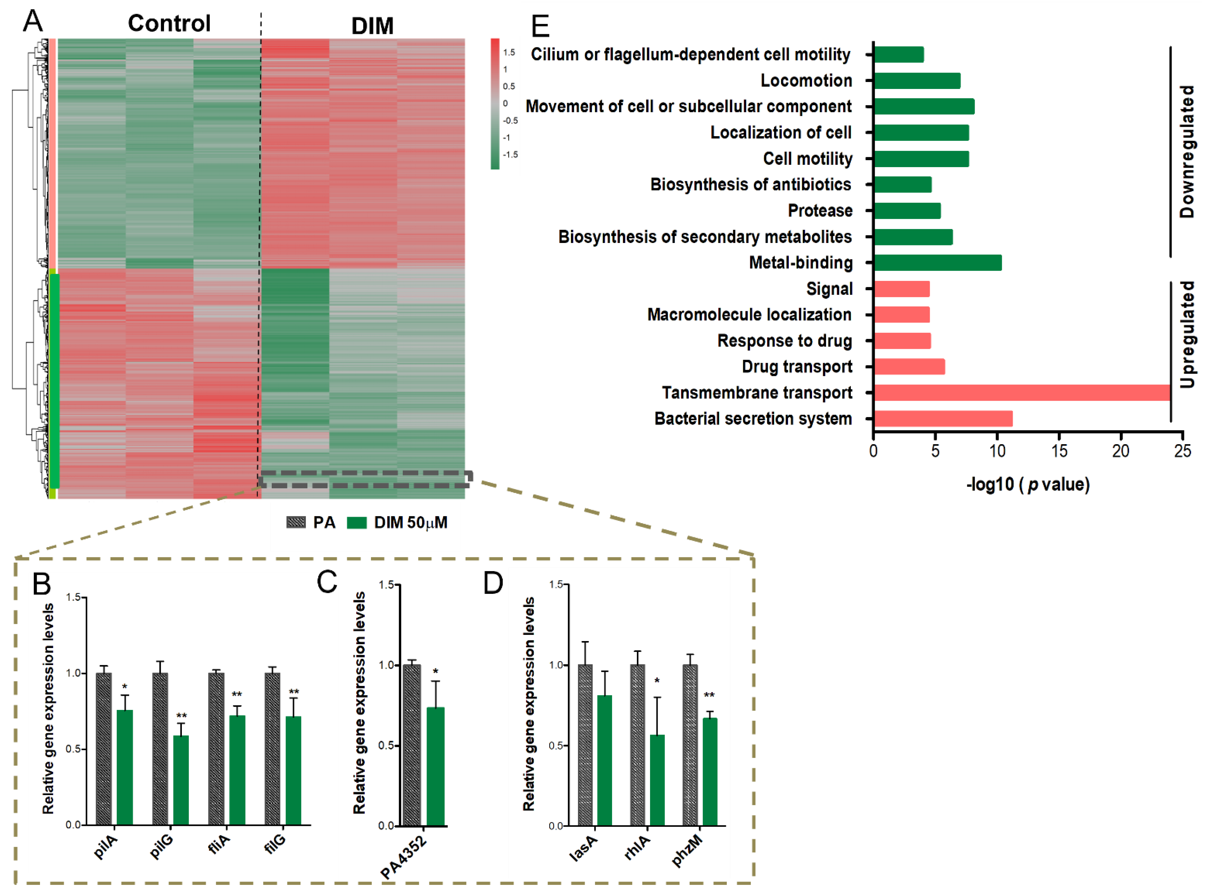 Pharmaceutics 14 00967 g003