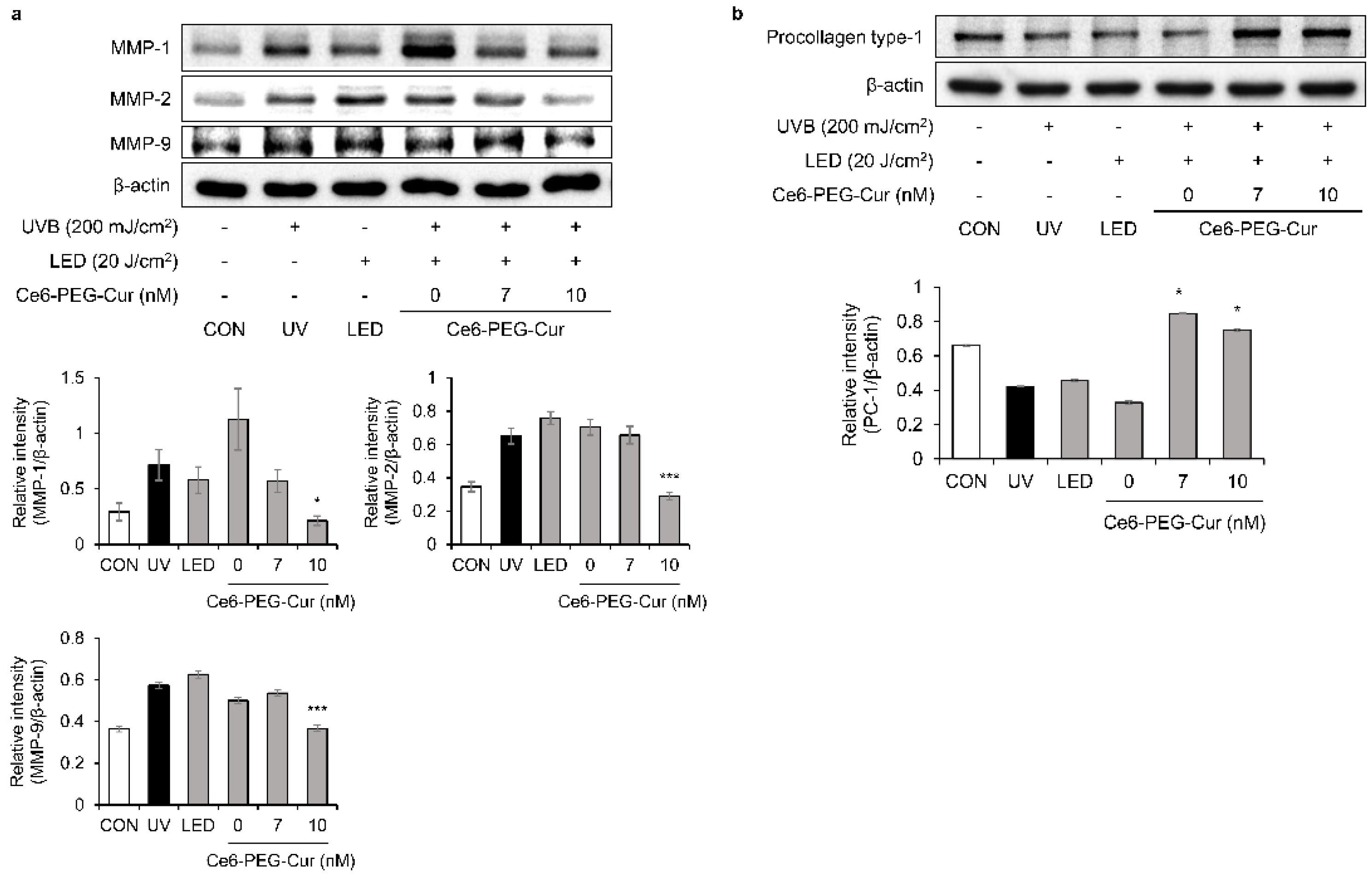 Pharmaceutics 14 00968 g003