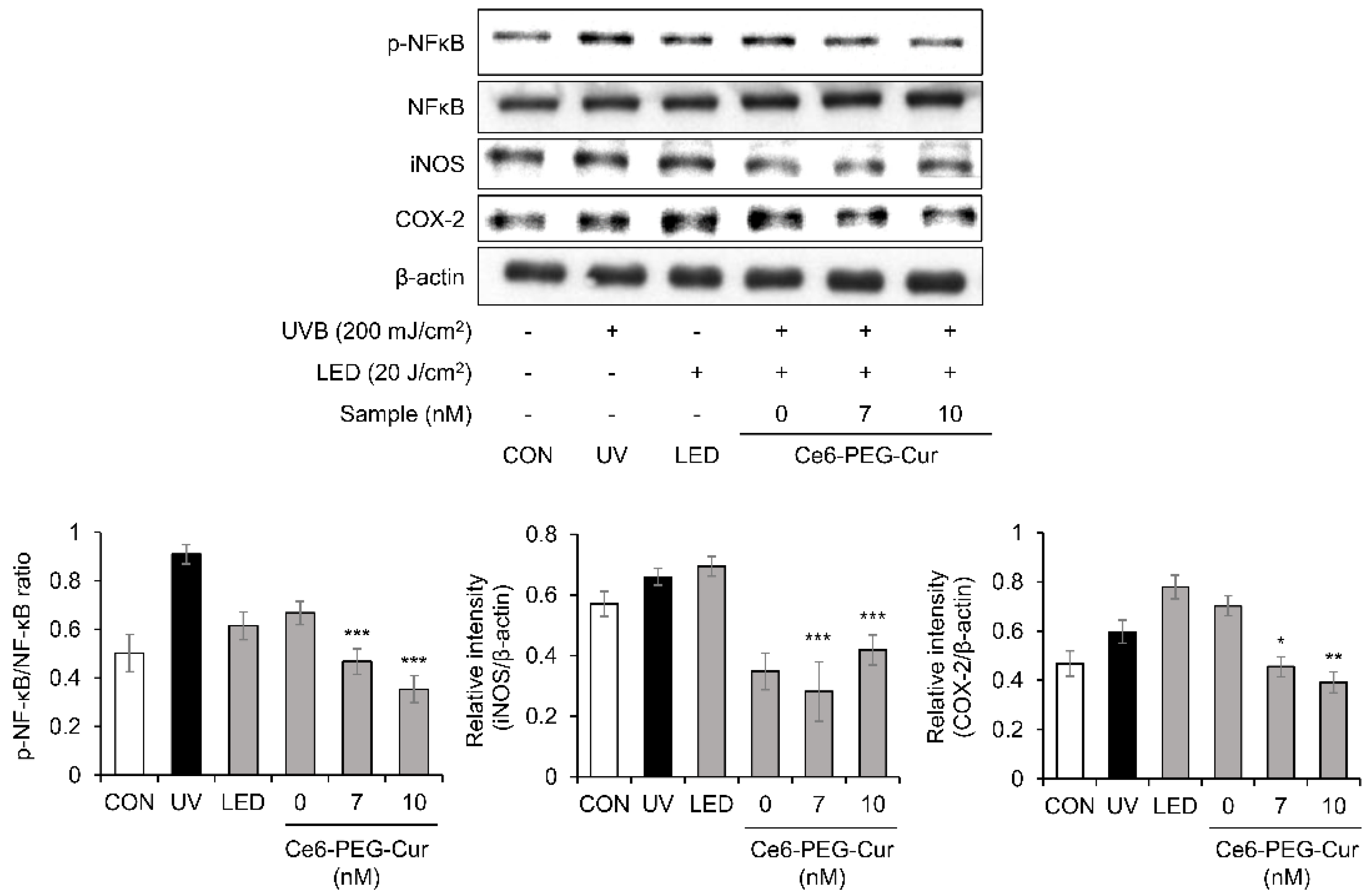 Pharmaceutics 14 00968 g004