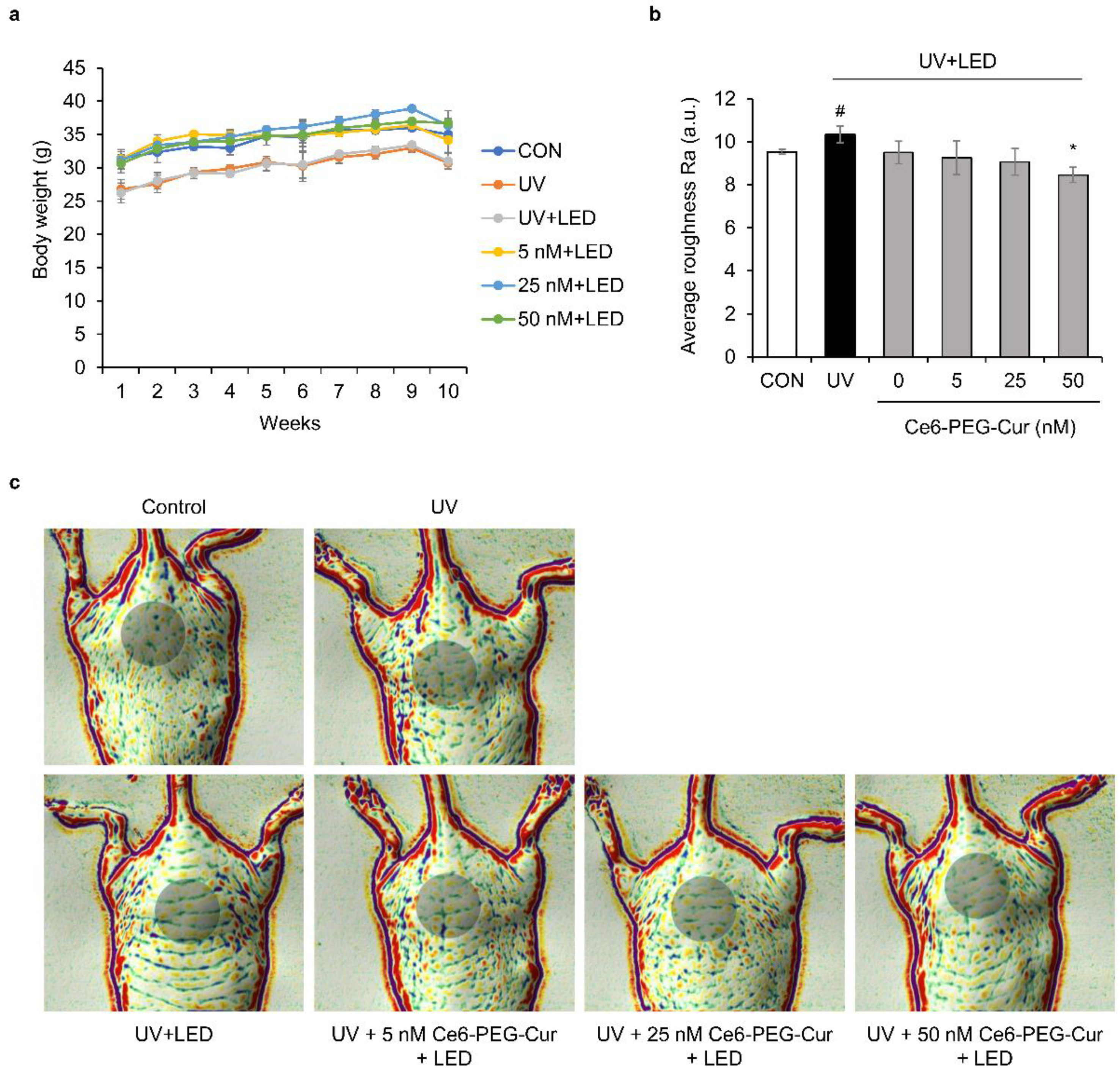 Pharmaceutics 14 00968 g008