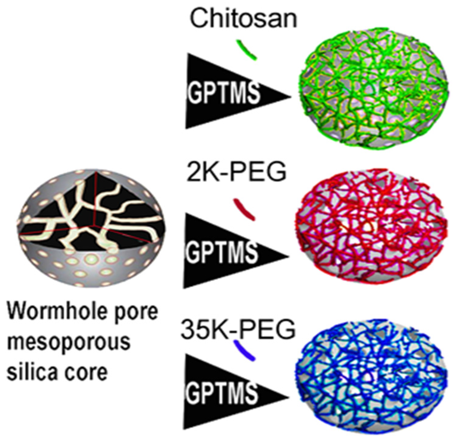 Pharmaceutics 14 00969 g001