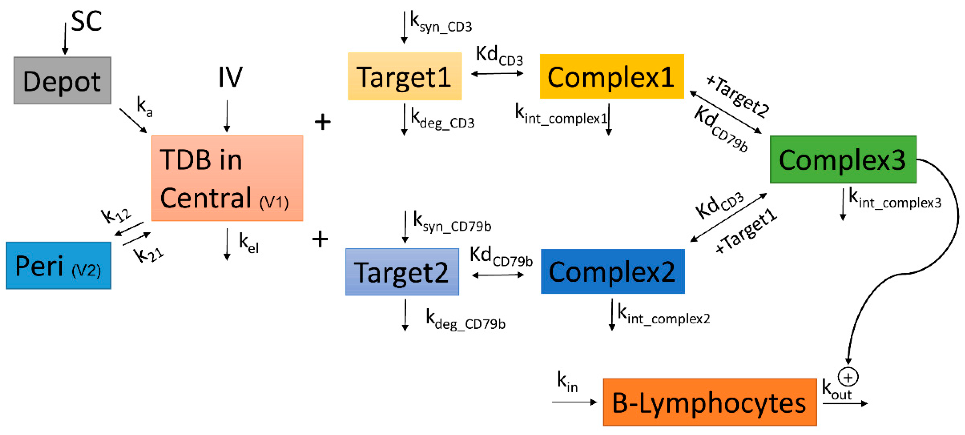 Pharmaceutics 14 00970 g001