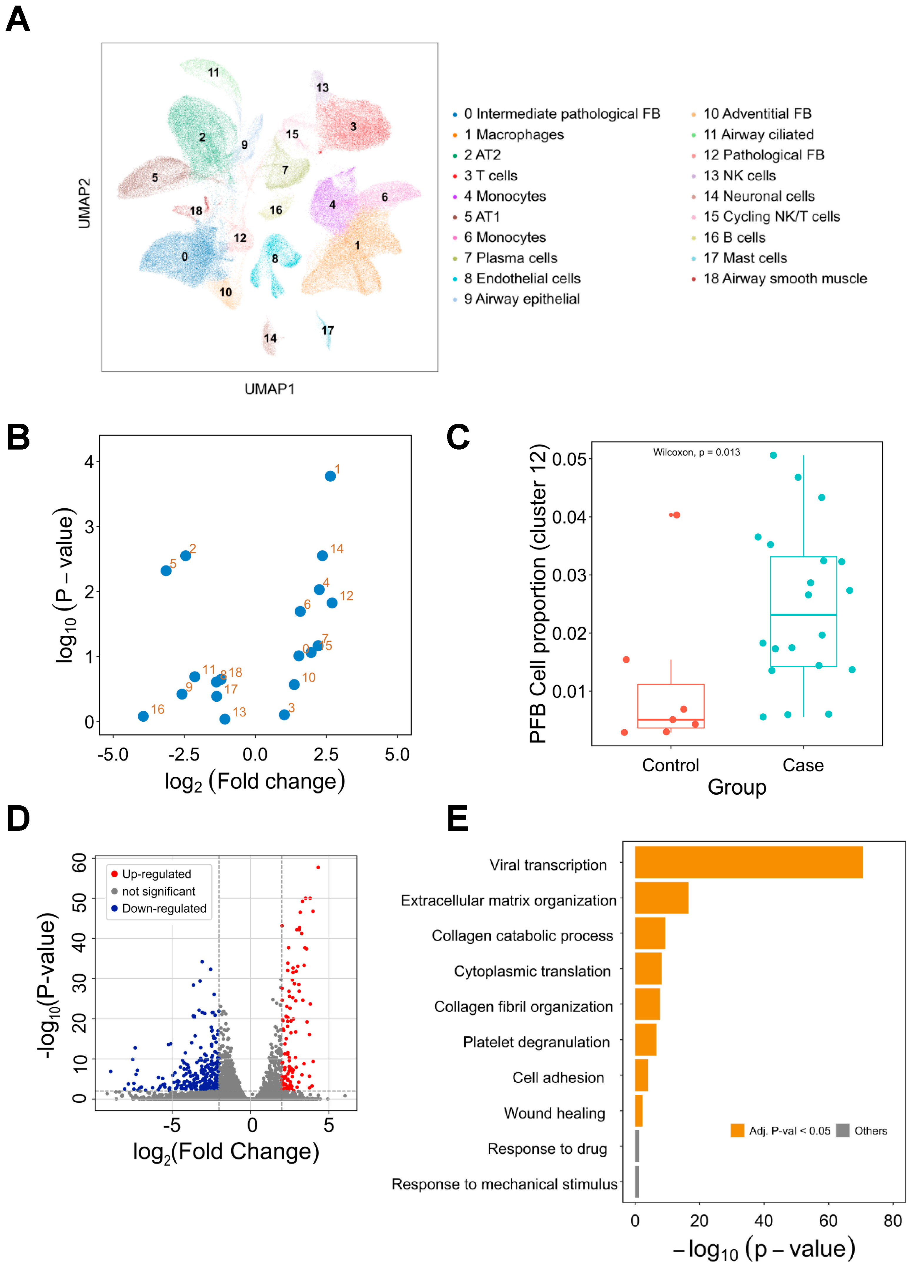 Pharmaceutics 14 00971 g002